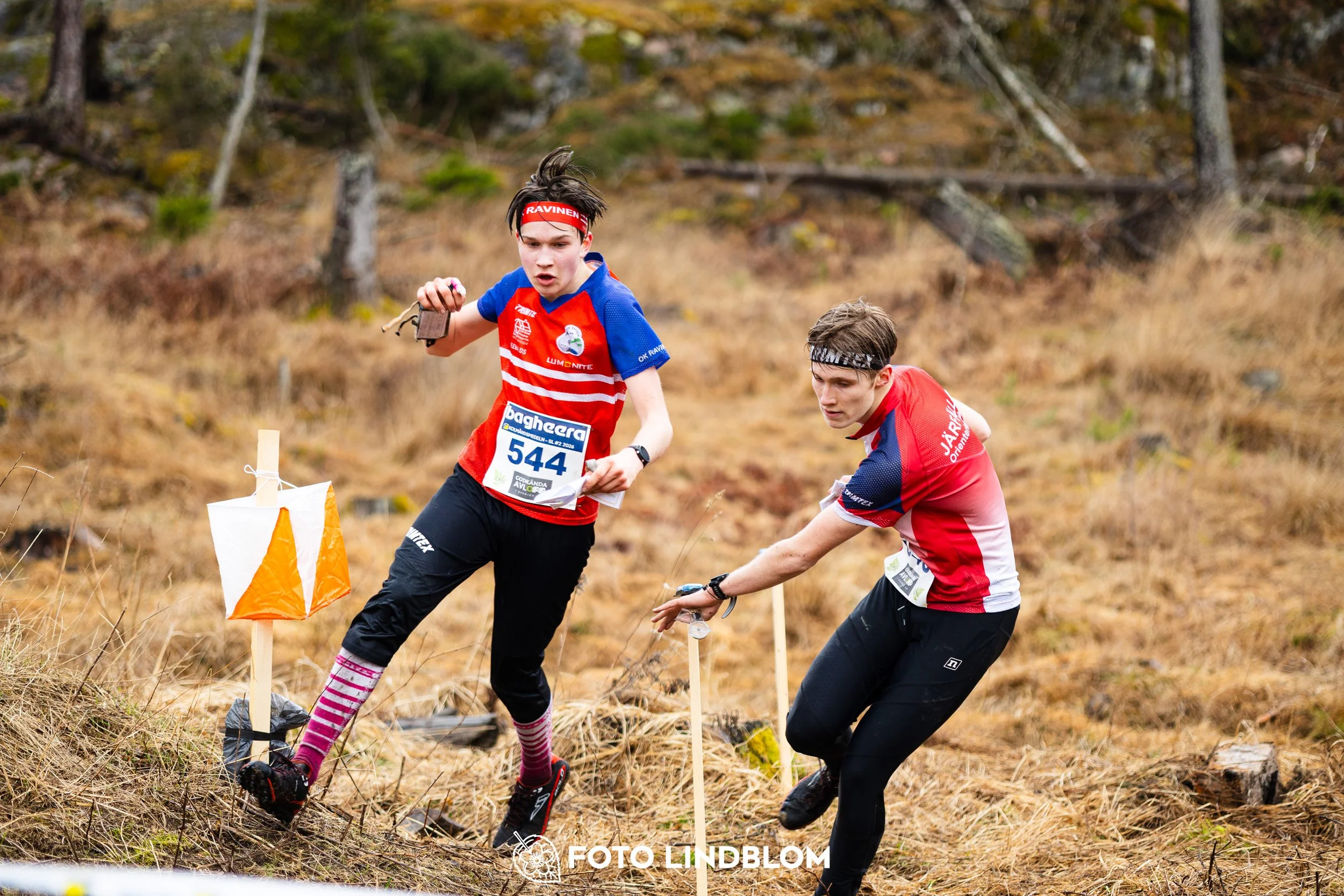 A scene from the Swedish League orienteering competition in Kolmården spring 2026, captured by Foto Lindblom.