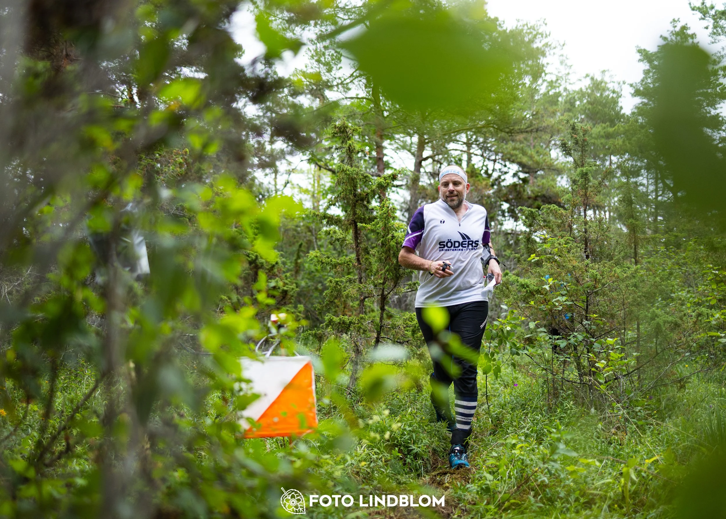 A picture from the Gotlands 3-Dagars orienteering competition