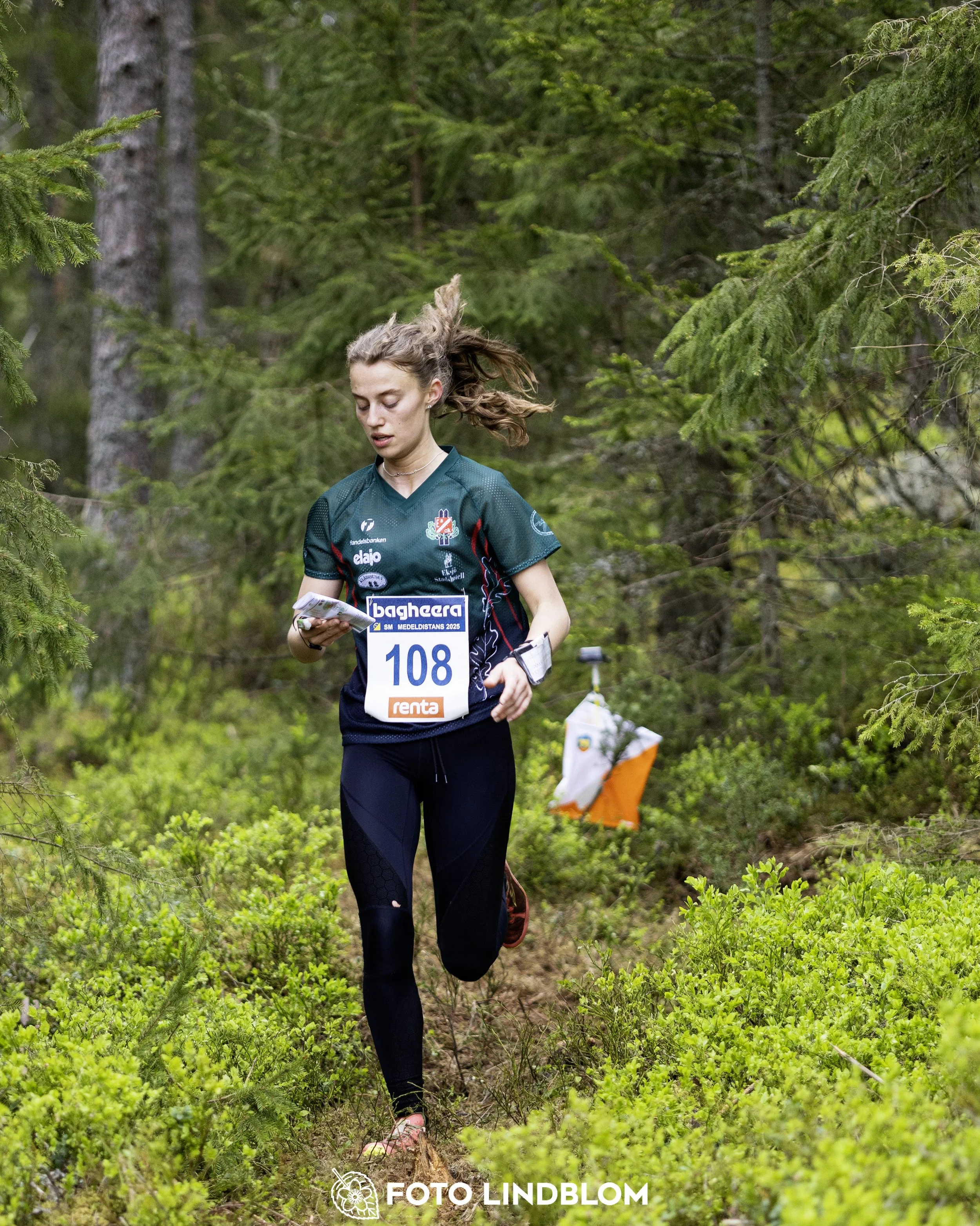 A picture from the Swedish national championship in middle distance orienteering and Swedish league race