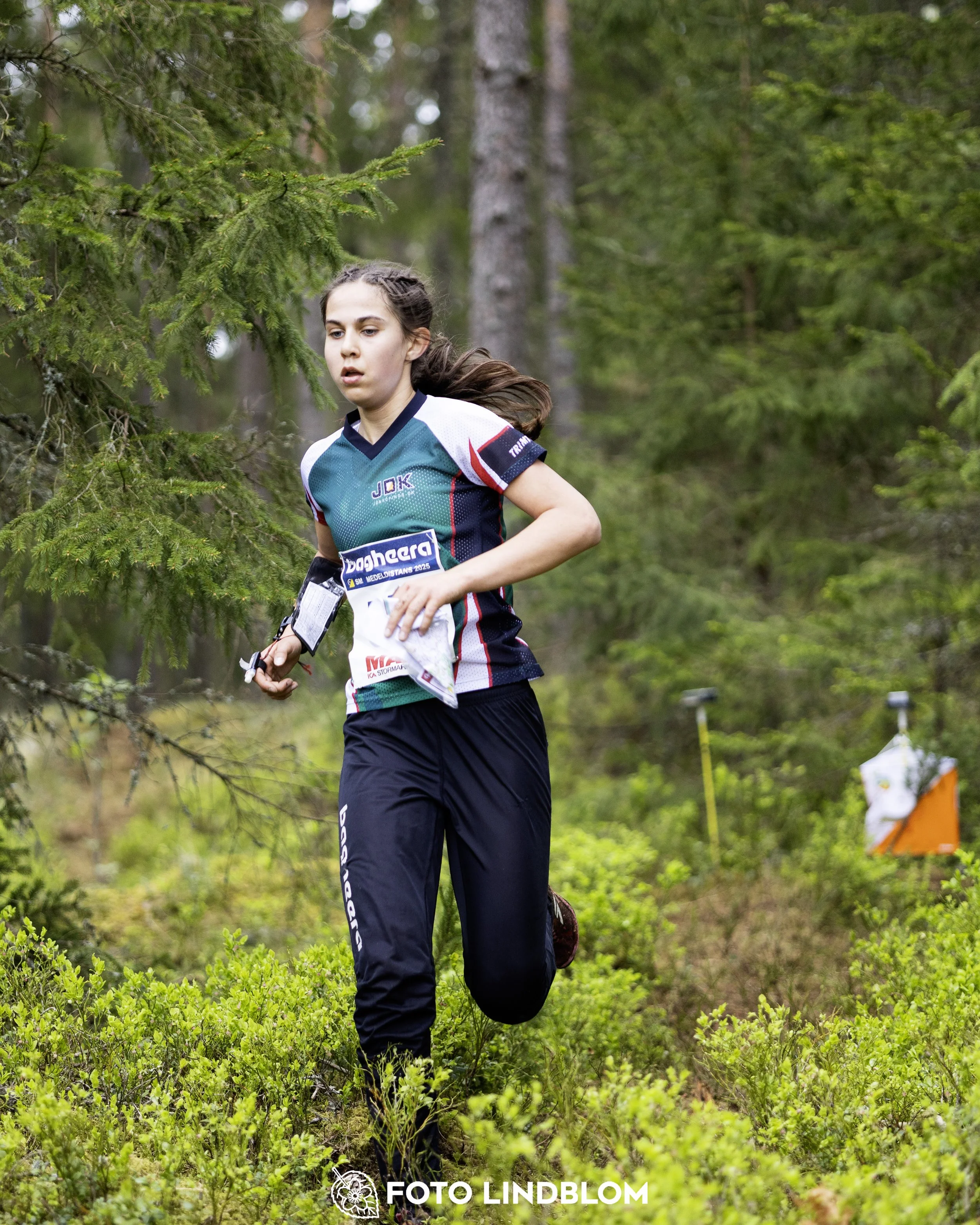 A picture from the Swedish national championship in middle distance orienteering and Swedish league race
