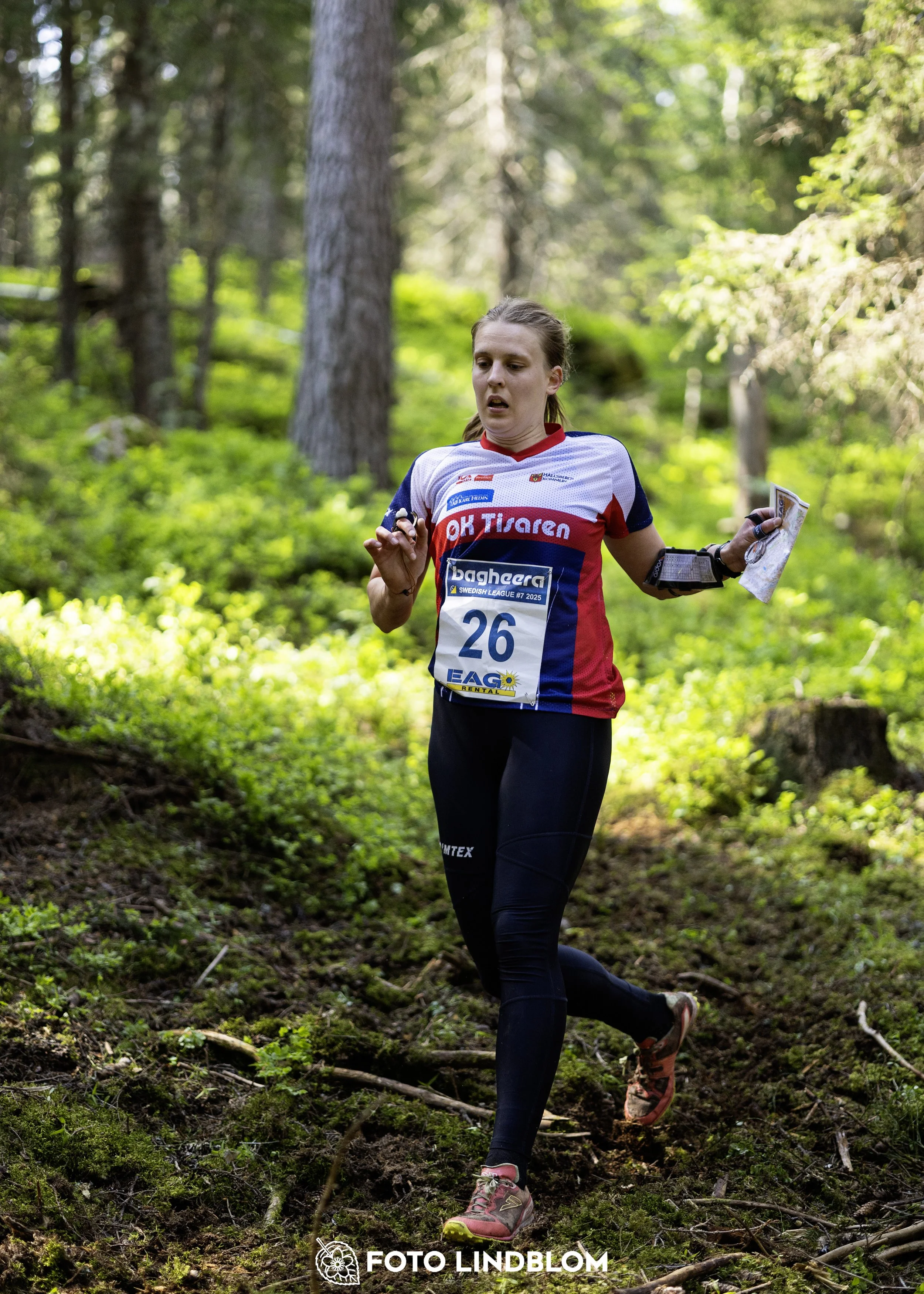 A picture from the seventh stage of the Swedish League orienteering competition