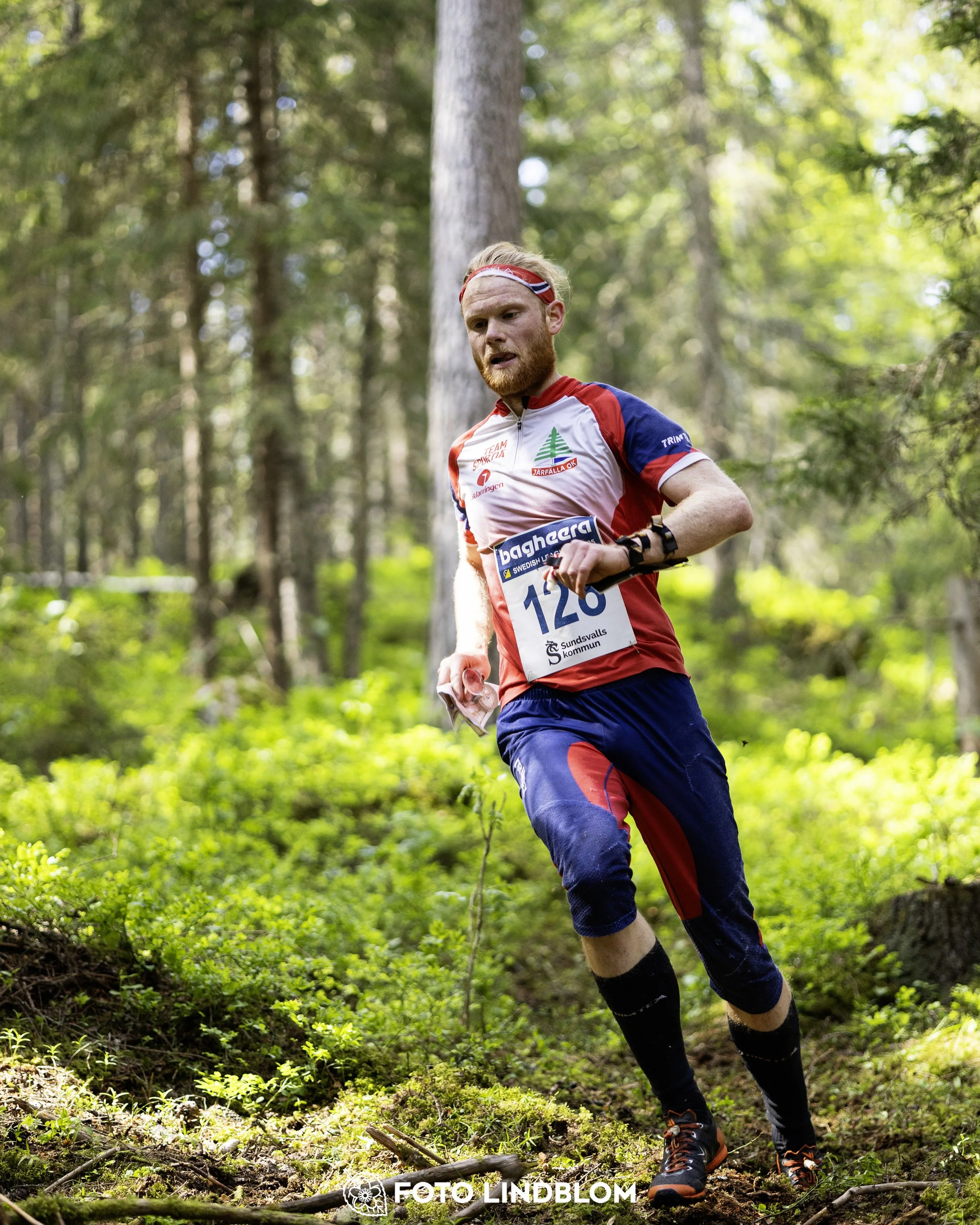 A picture from the seventh stage of the Swedish League orienteering competition