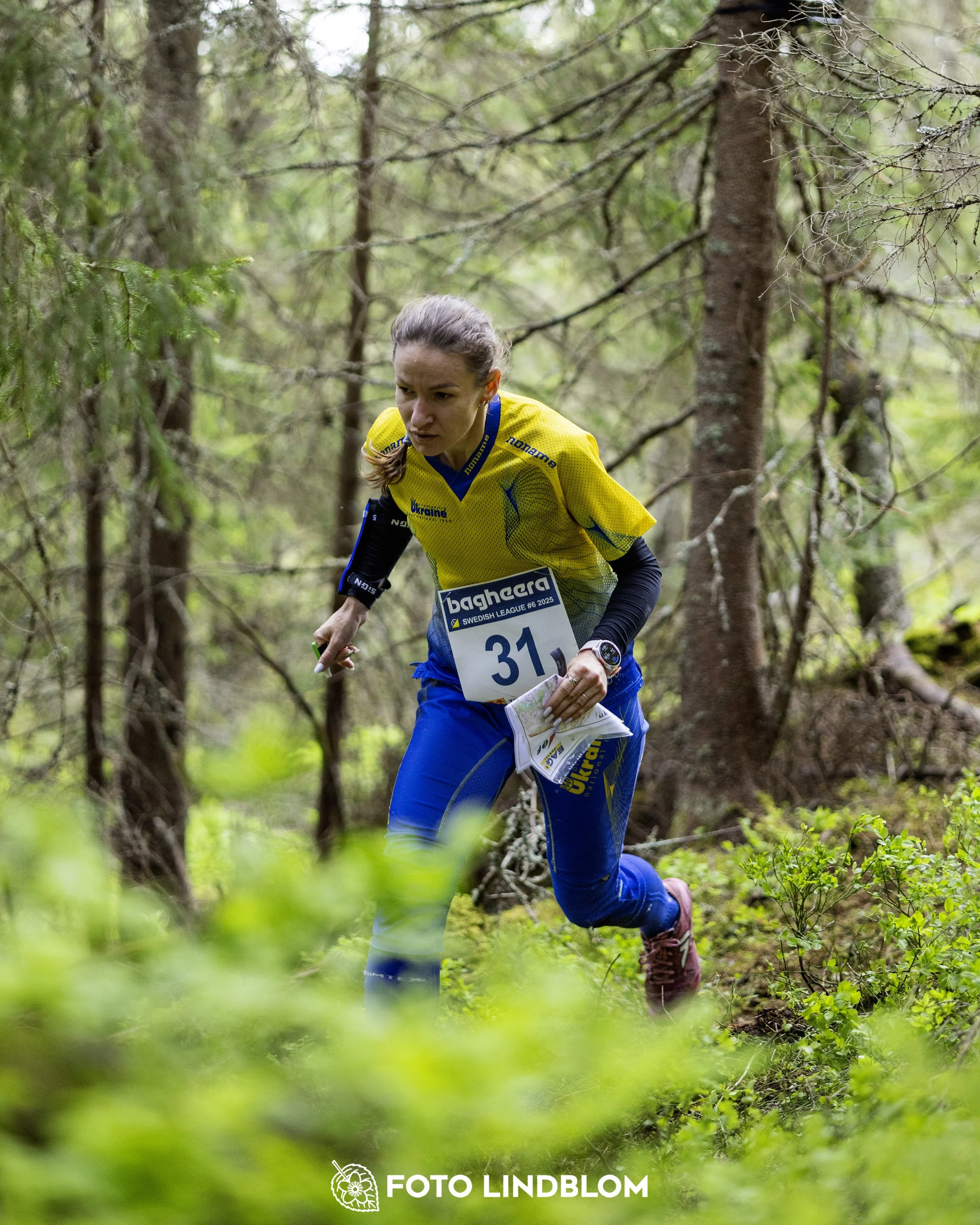 A picture from the seventh stage of the Swedish League orienteering competition