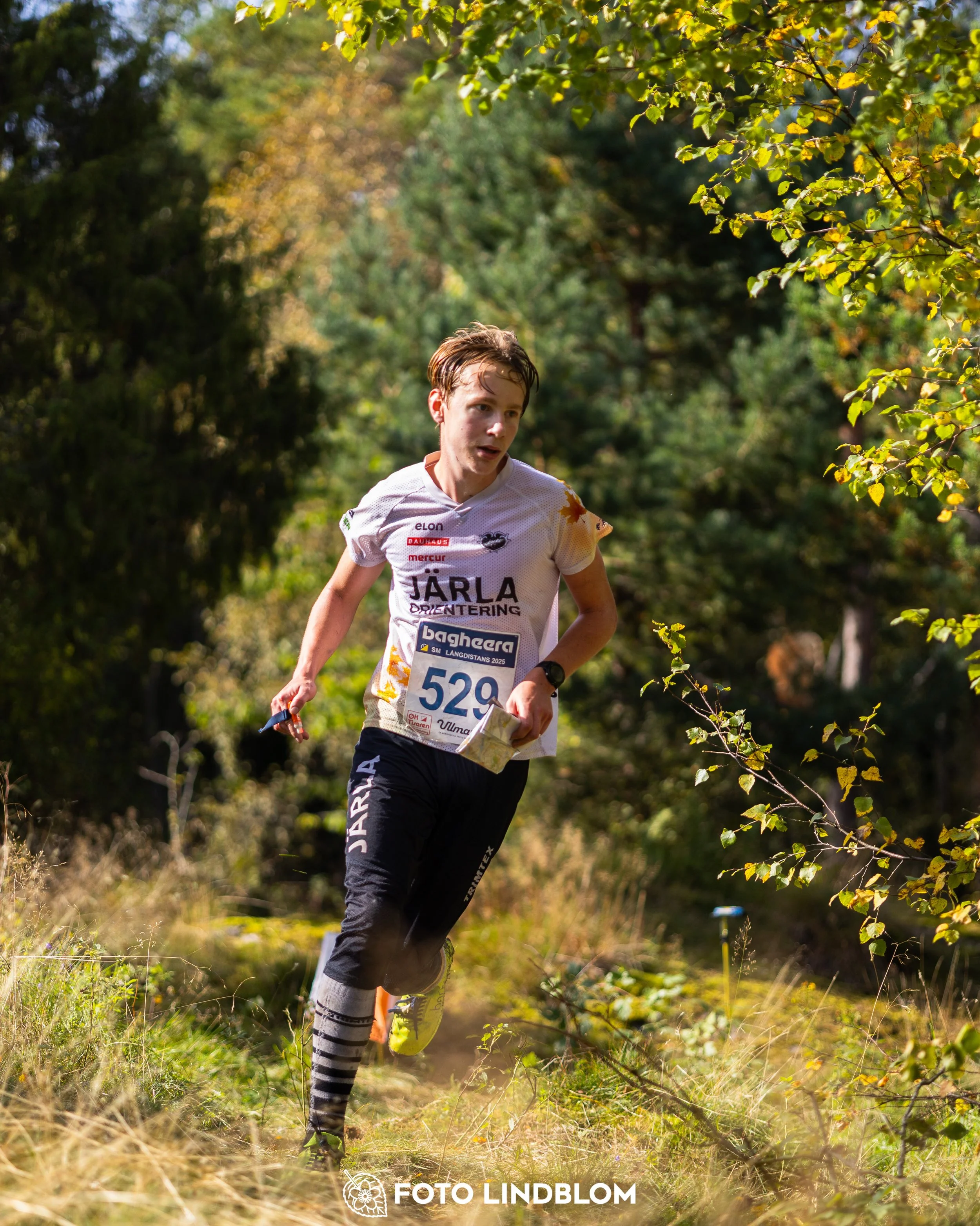 A picture from the Swedish national championship in long distance orienteering and Swedish league race taken by Foto Lindblom