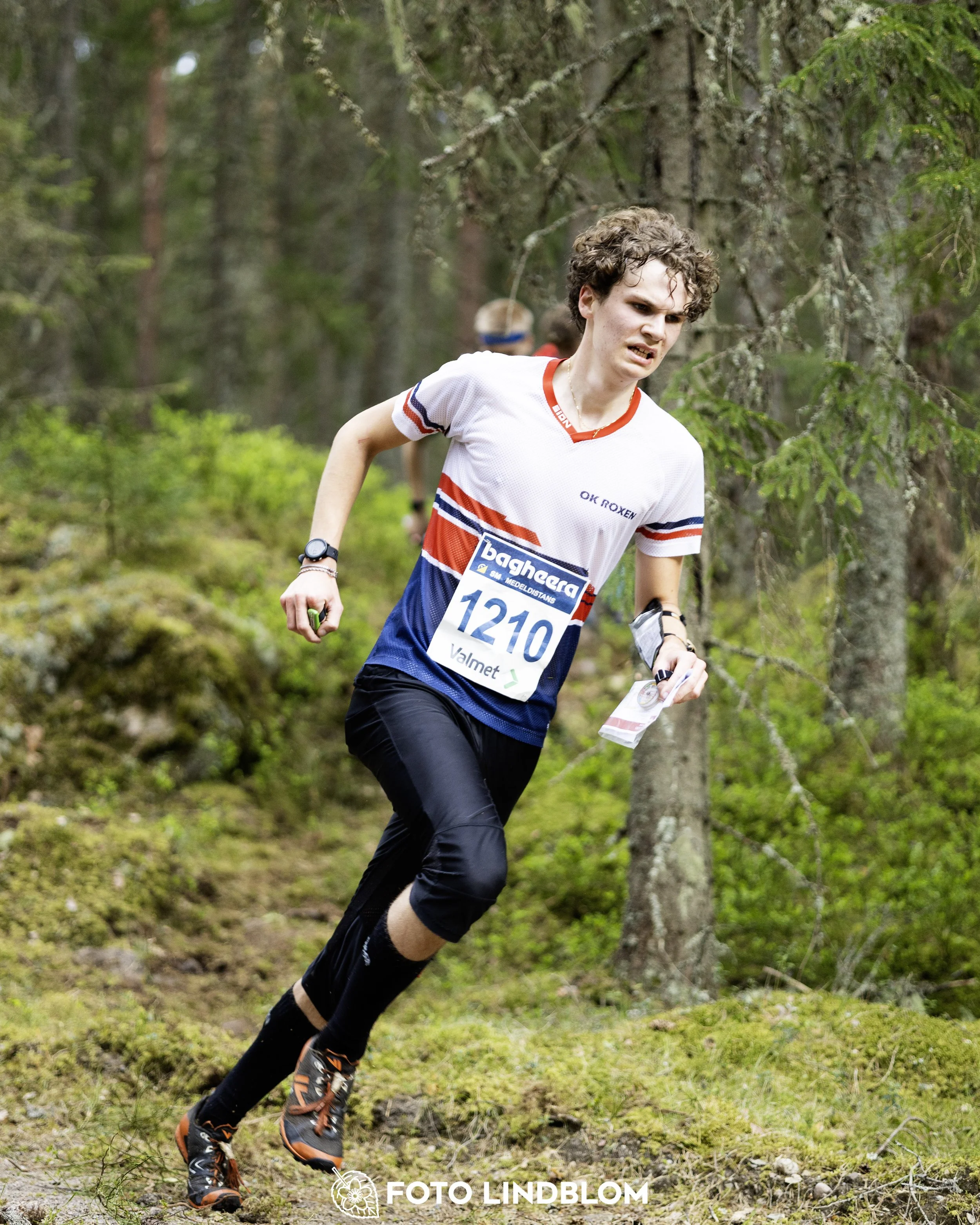 A picture from the Swedish national championship in middle distance orienteering and Swedish league race