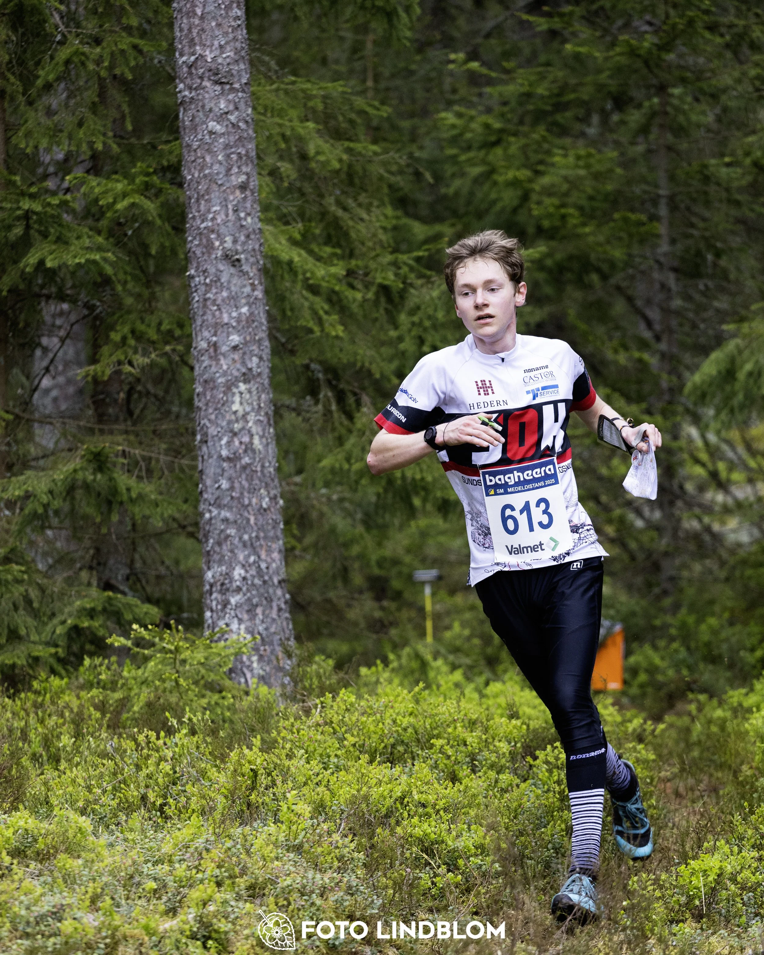 A picture from the Swedish national championship in middle distance orienteering and Swedish league race