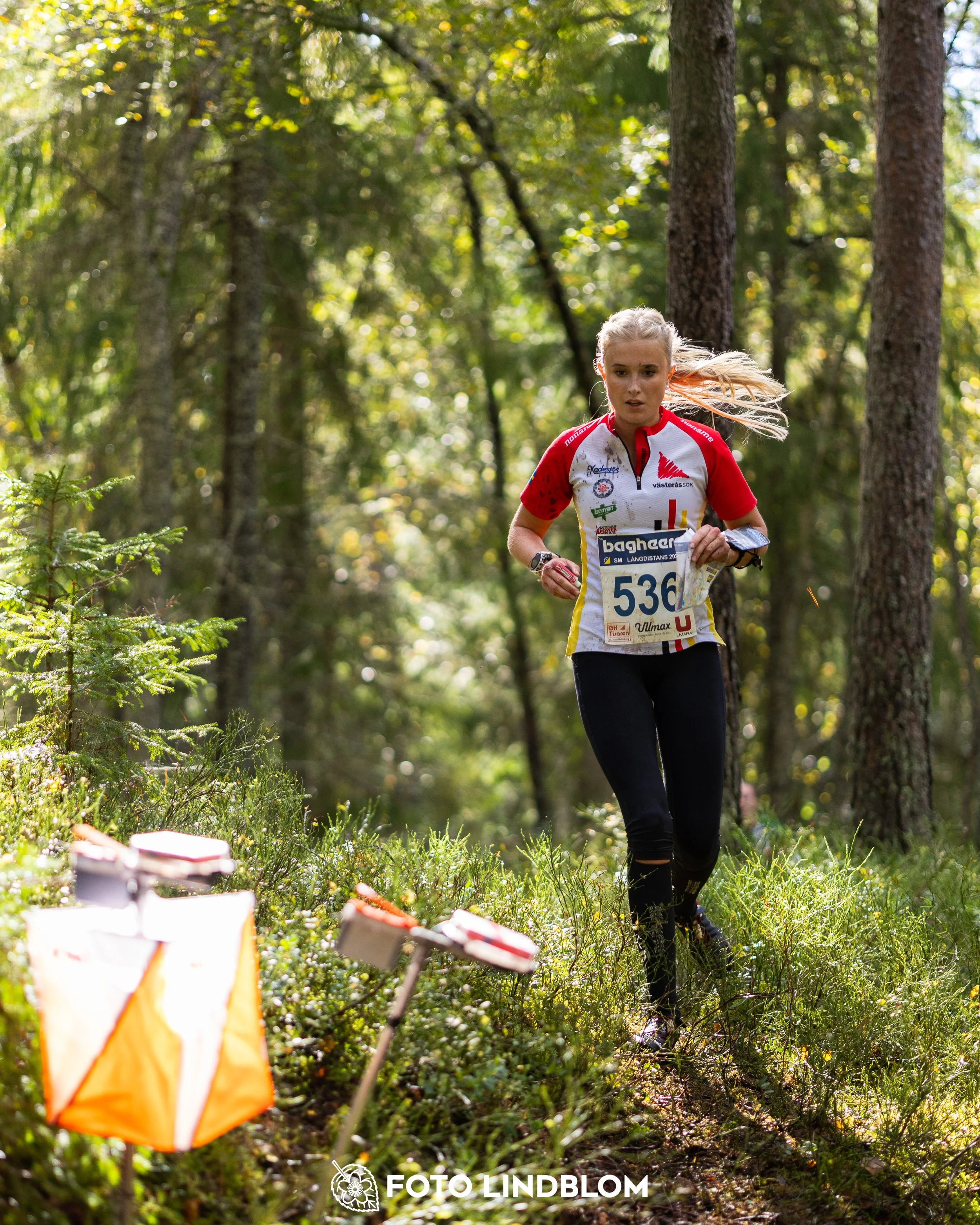 A picture from the Swedish national championship in long distance orienteering and Swedish league race taken by Foto Lindblom