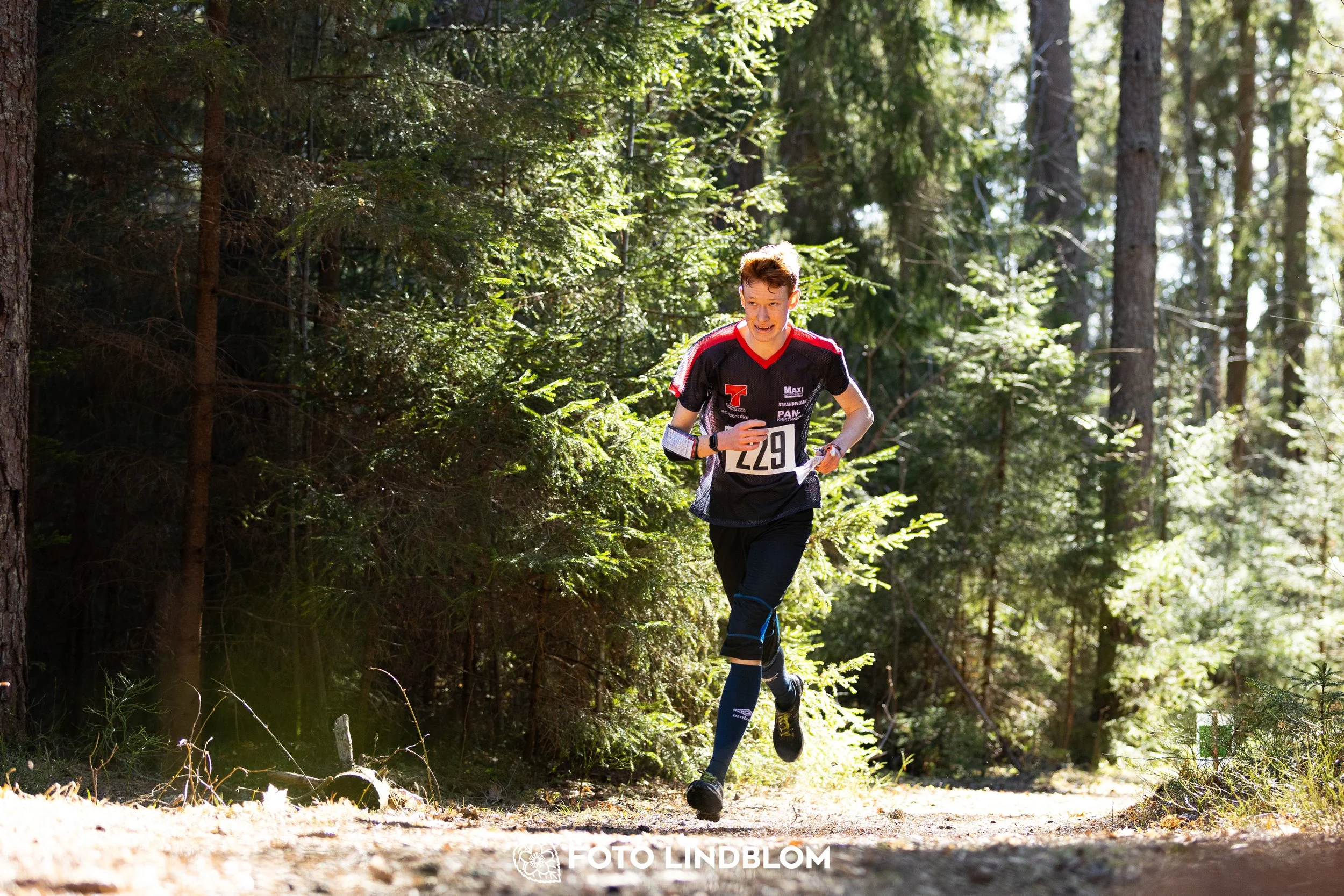 Photo of participants during the 2026 Nyköpingsorienteringen event in Sweden, taken in forest terrain by Foto Lindblom.