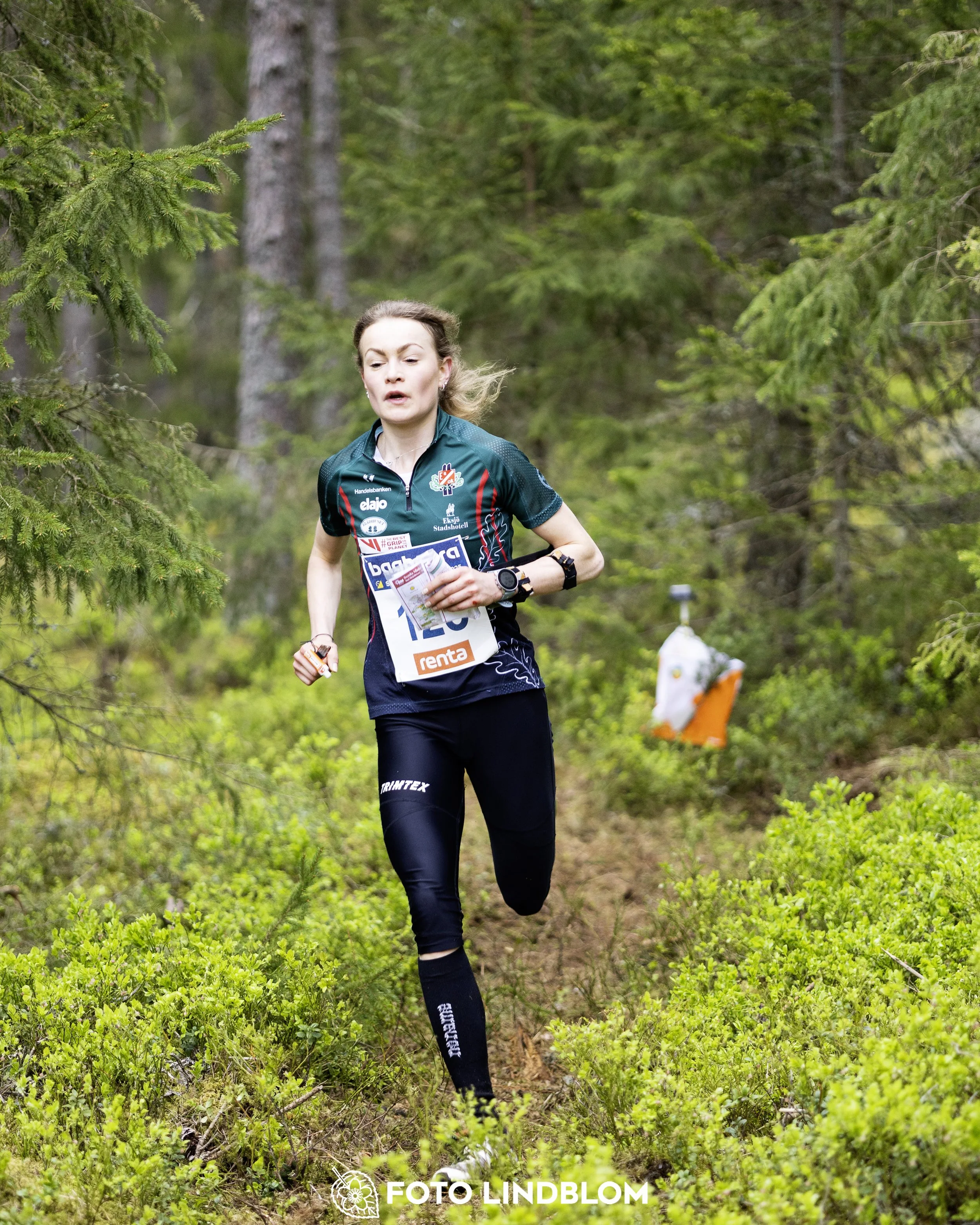 A picture from the Swedish national championship in middle distance orienteering and Swedish league race