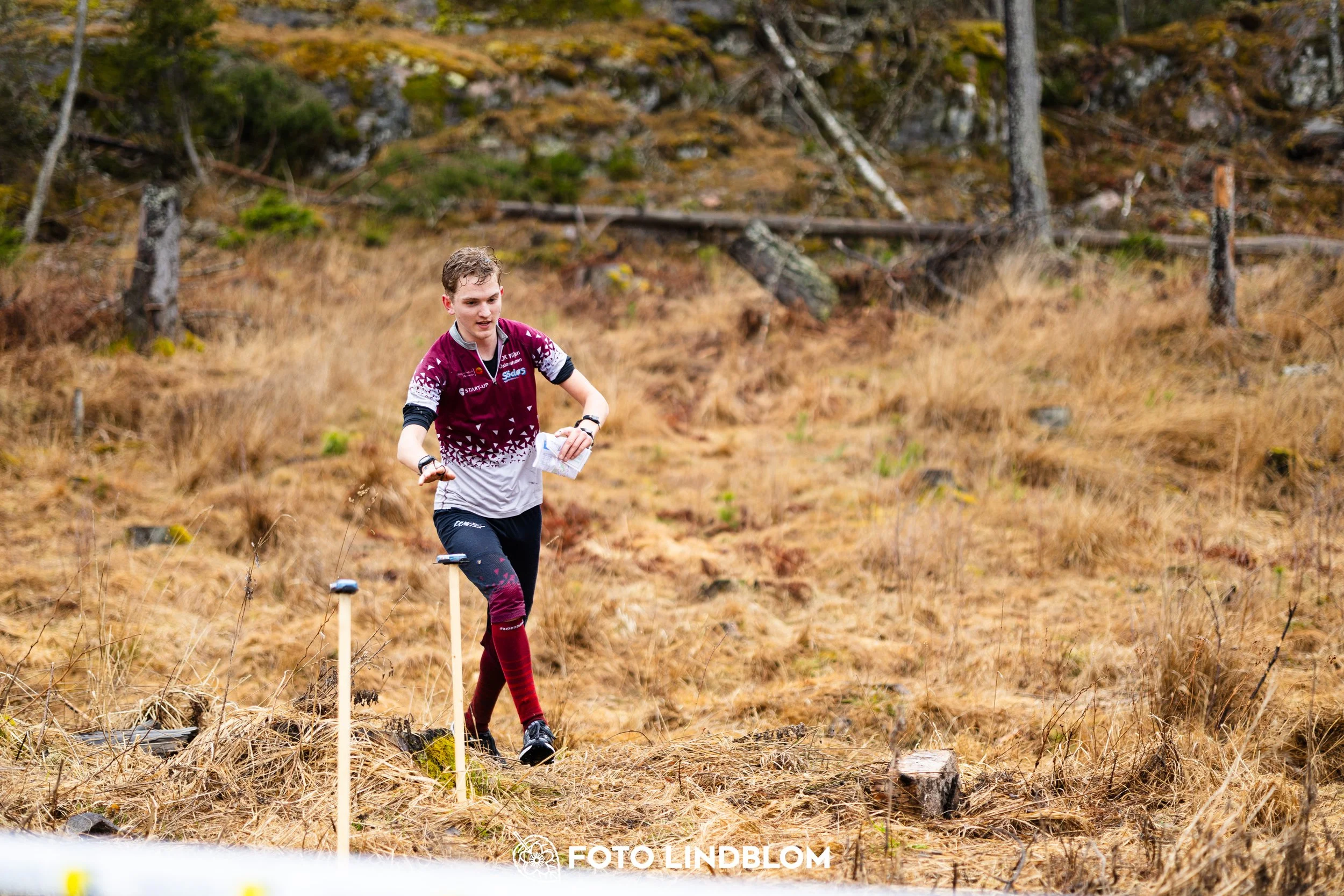 A moment from a middle distance orienteering race in Kolmården during the Swedish League 2026, captured by Foto Lindblom.
