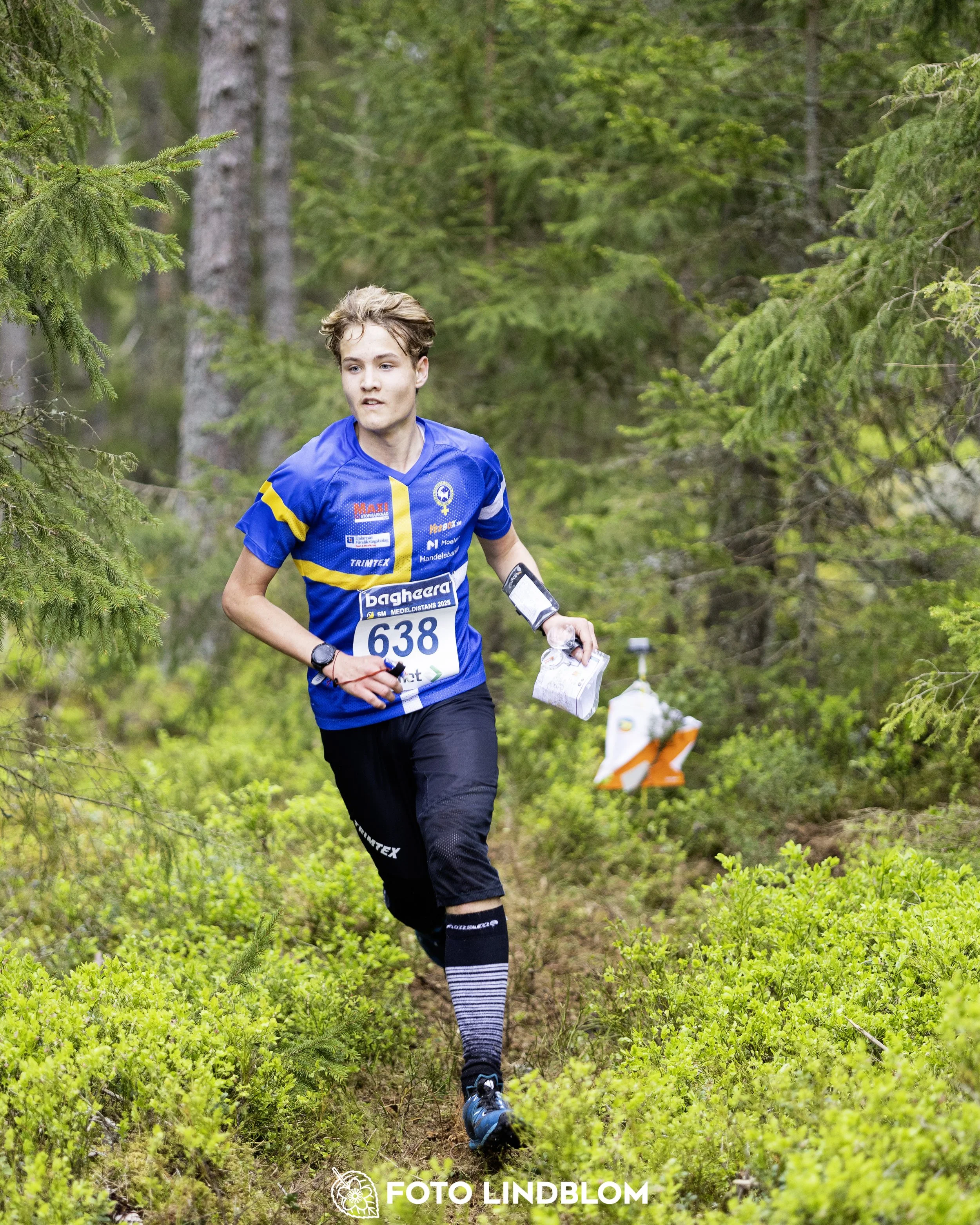 A picture from the Swedish national championship in middle distance orienteering and Swedish league race