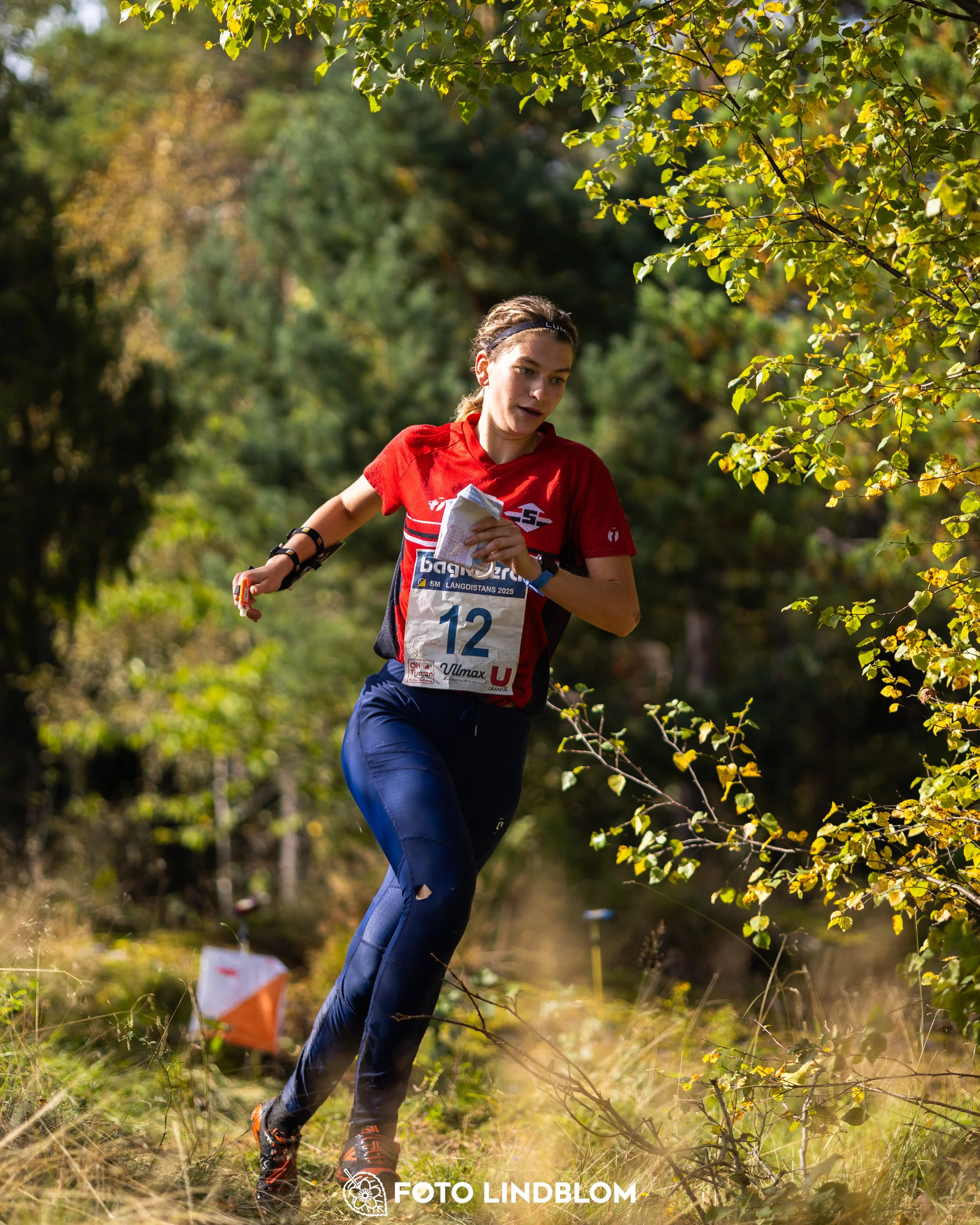 A picture from the Swedish national championship in long distance orienteering and Swedish league race taken by Foto Lindblom