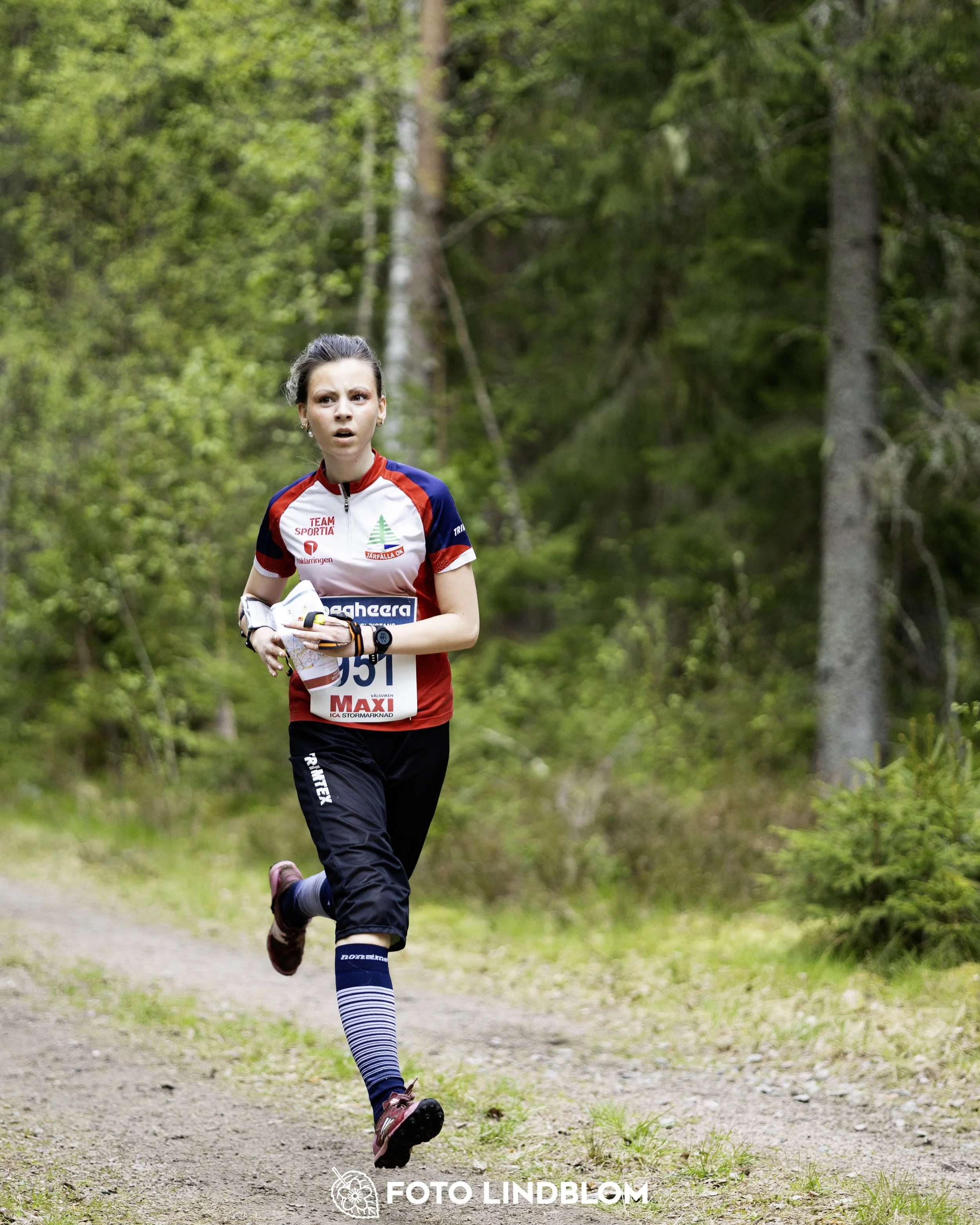 A picture from the Swedish national championship in middle distance orienteering and Swedish league race