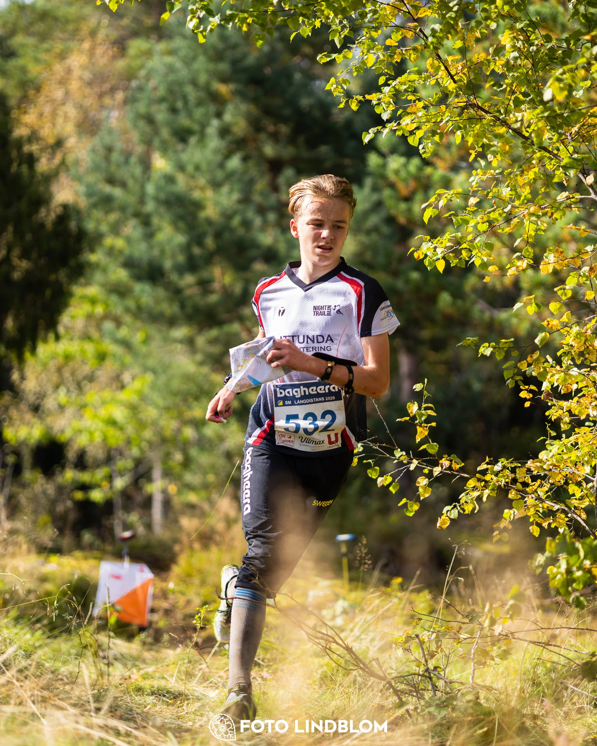 A picture from the Swedish national championship in long distance orienteering and Swedish league race taken by Foto Lindblom