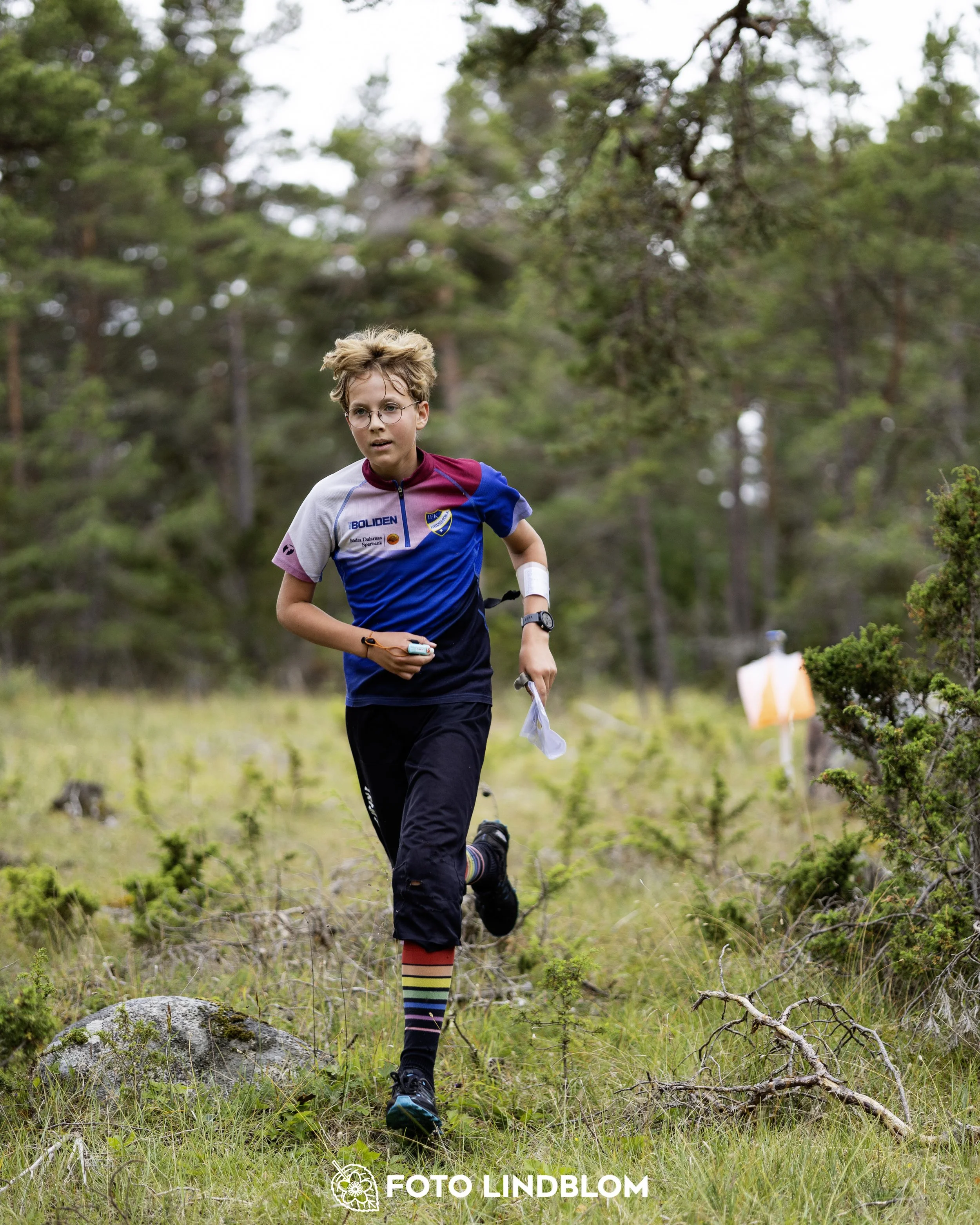 A picture from the Gotlands 2-Dagars orienteering competition