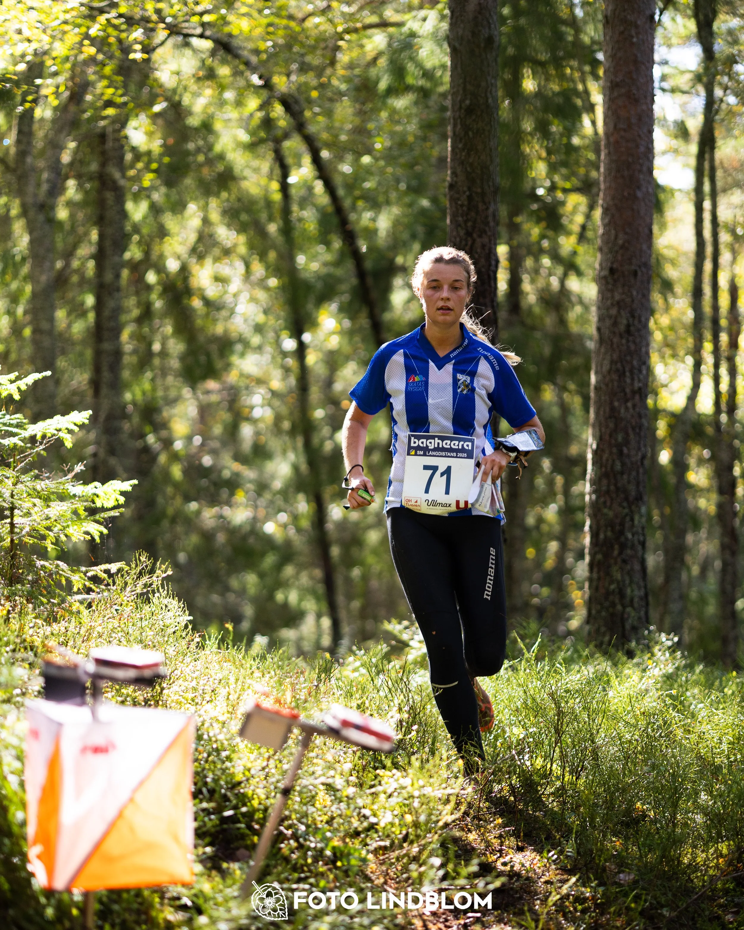 A picture from the Swedish national championship in long distance orienteering and Swedish league race taken by Foto Lindblom