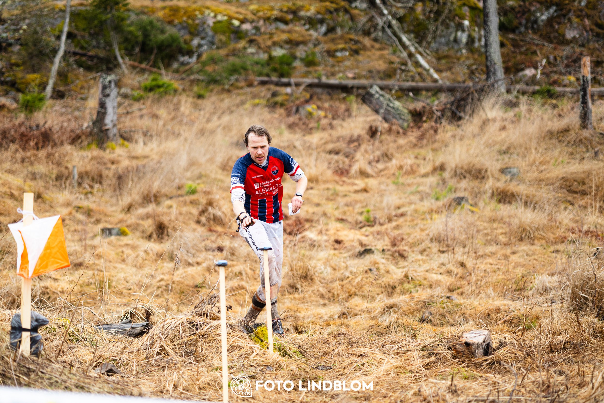 A photo from a forest orienteering competition in Kolmården as part of the Swedish League 2026 season, captured by Foto Lindblom.