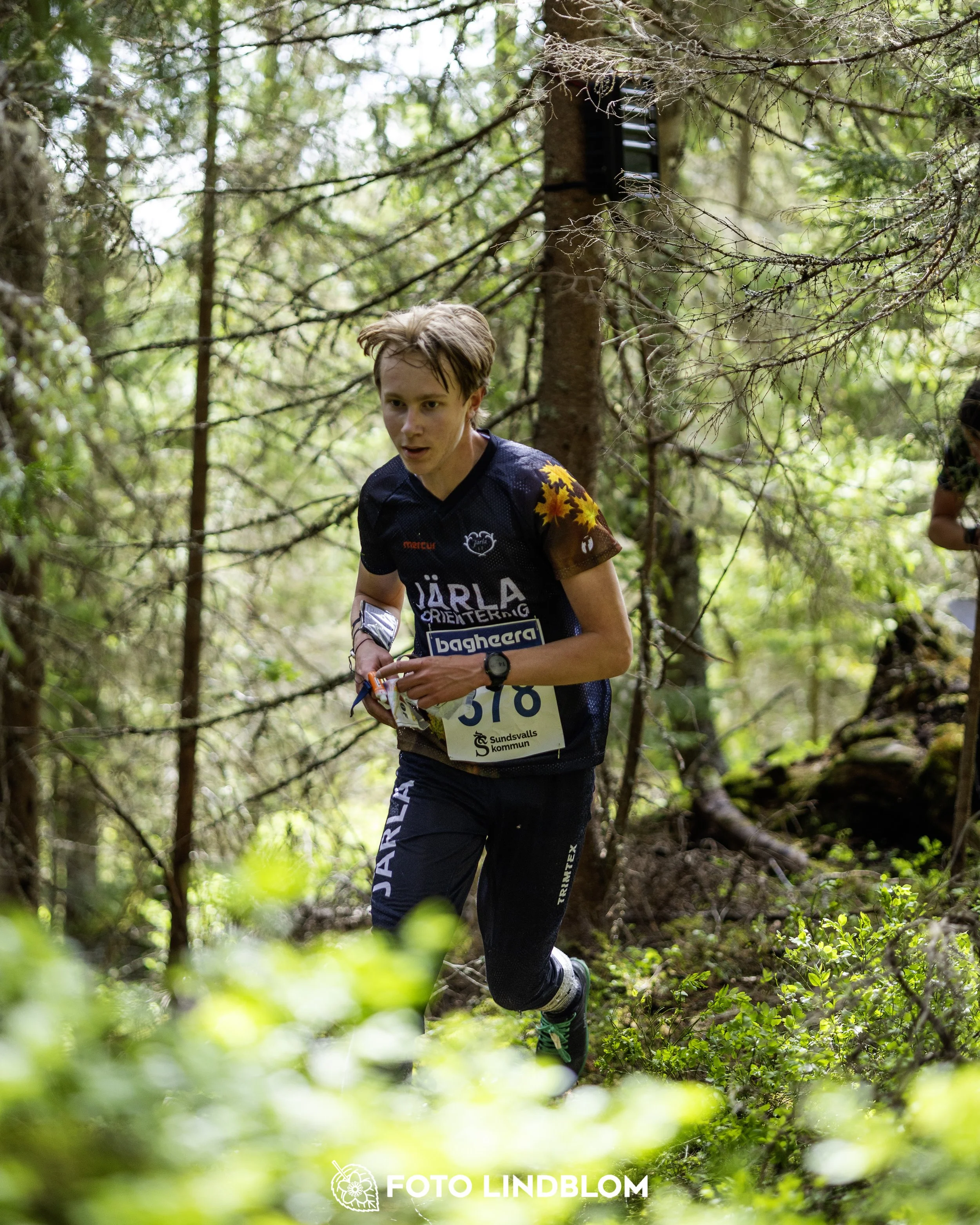 A picture from the seventh stage of the Swedish League orienteering competition