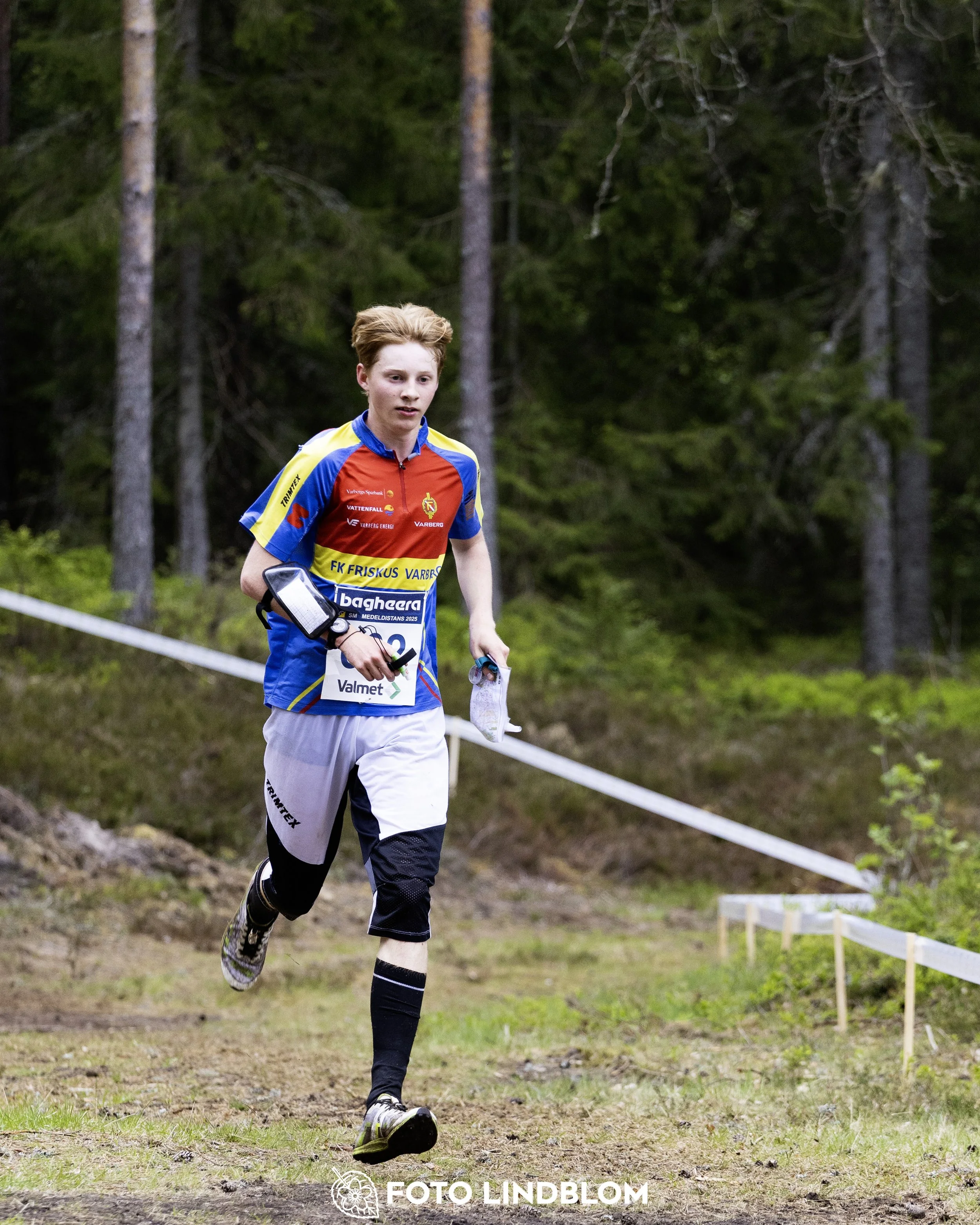 A picture from the Swedish national championship in middle distance orienteering and Swedish league race