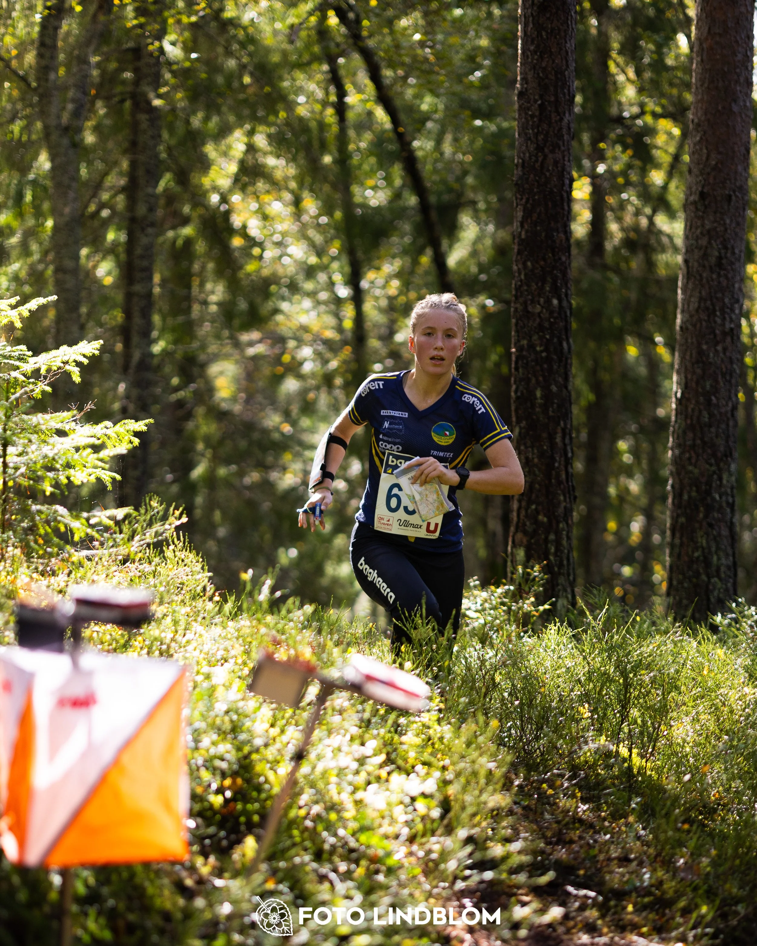 A picture from the Swedish national championship in long distance orienteering and Swedish league race taken by Foto Lindblom
