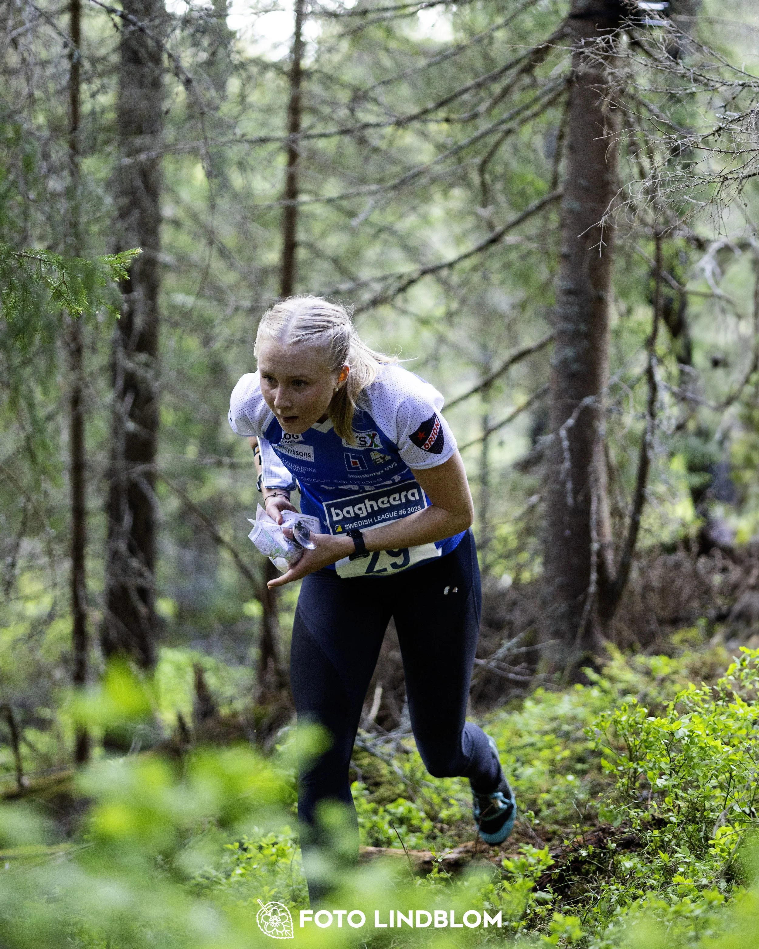 A picture from the seventh stage of the Swedish League orienteering competition