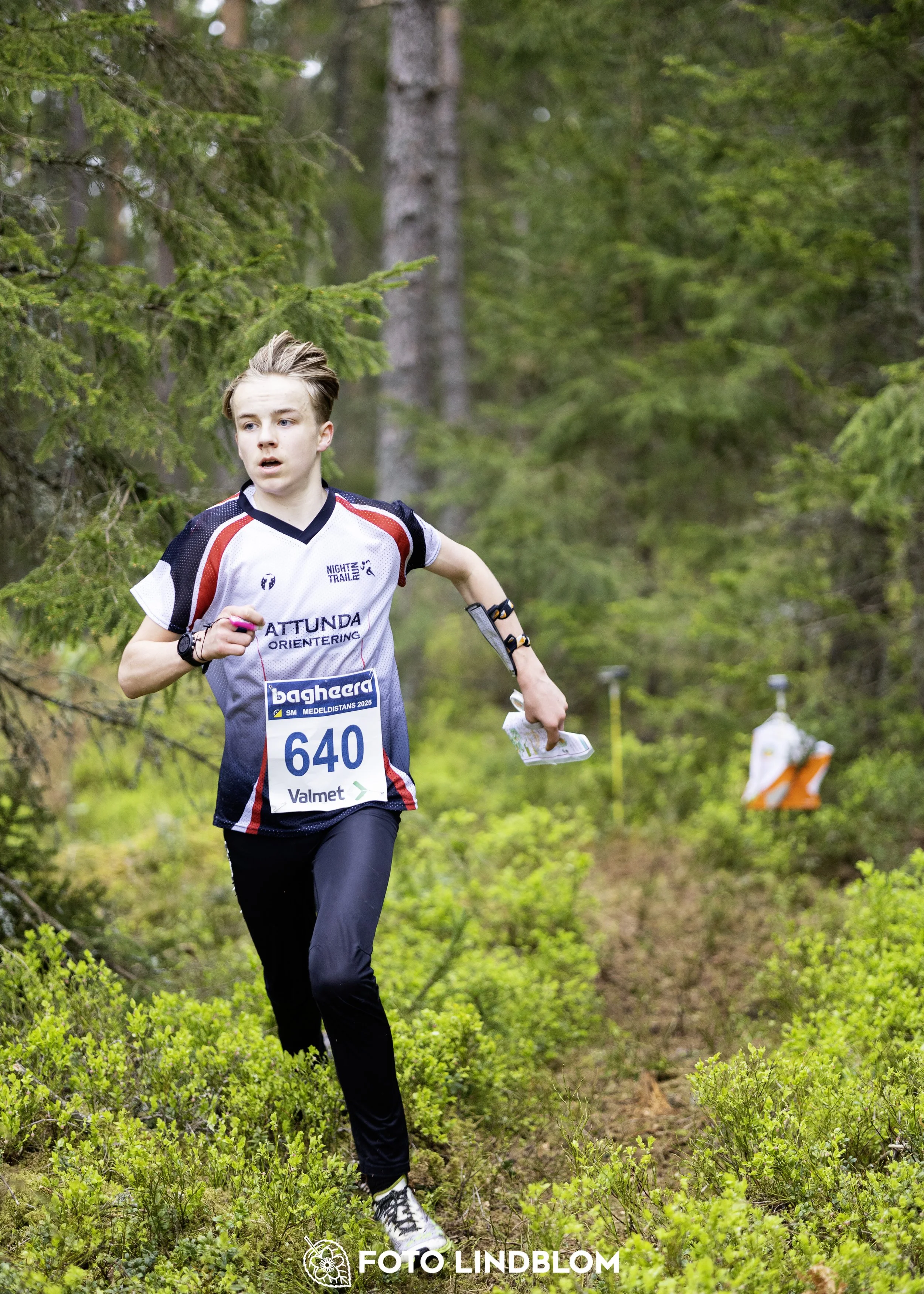 A picture from the Swedish national championship in middle distance orienteering and Swedish league race