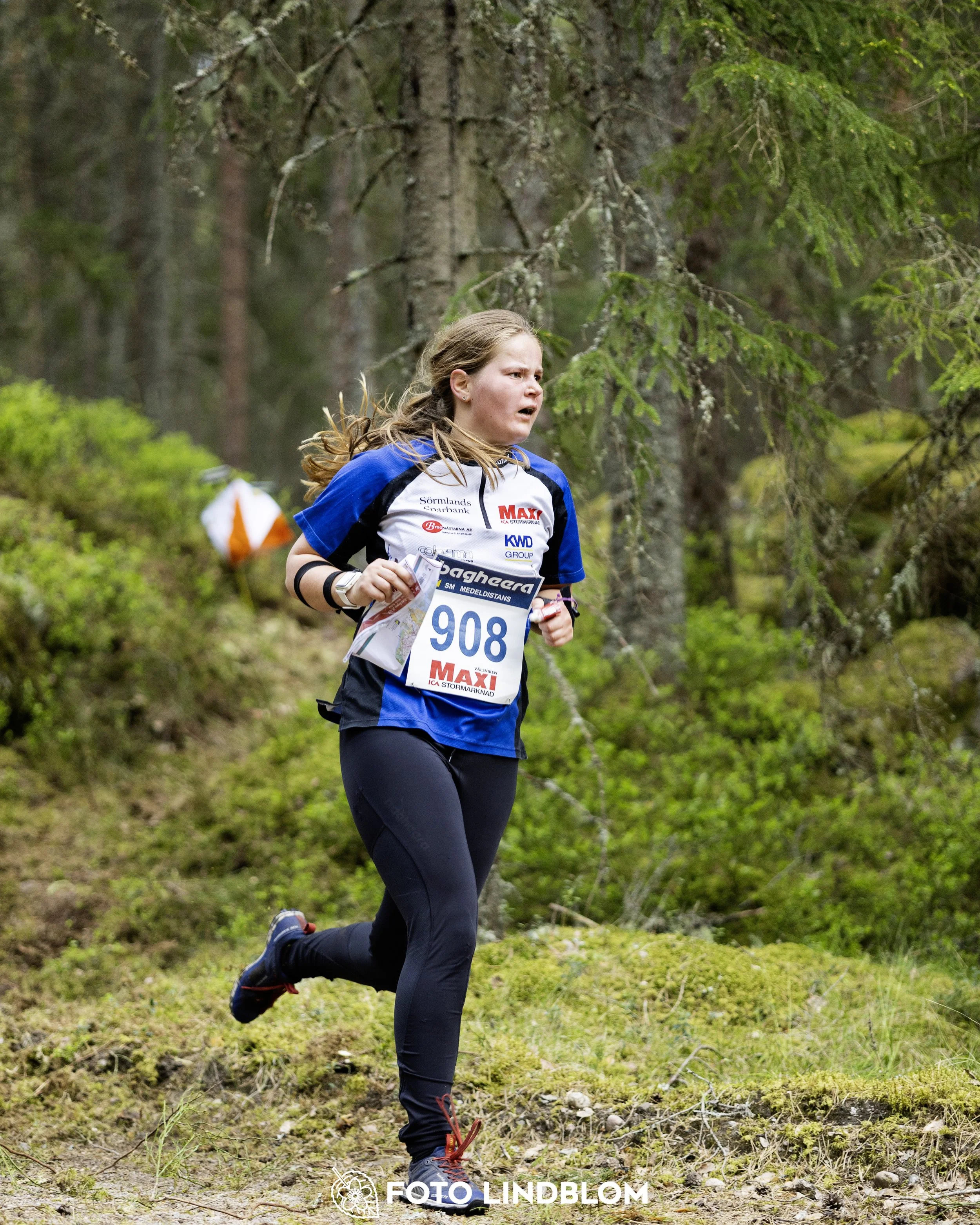 A picture from the Swedish national championship in middle distance orienteering and Swedish league race