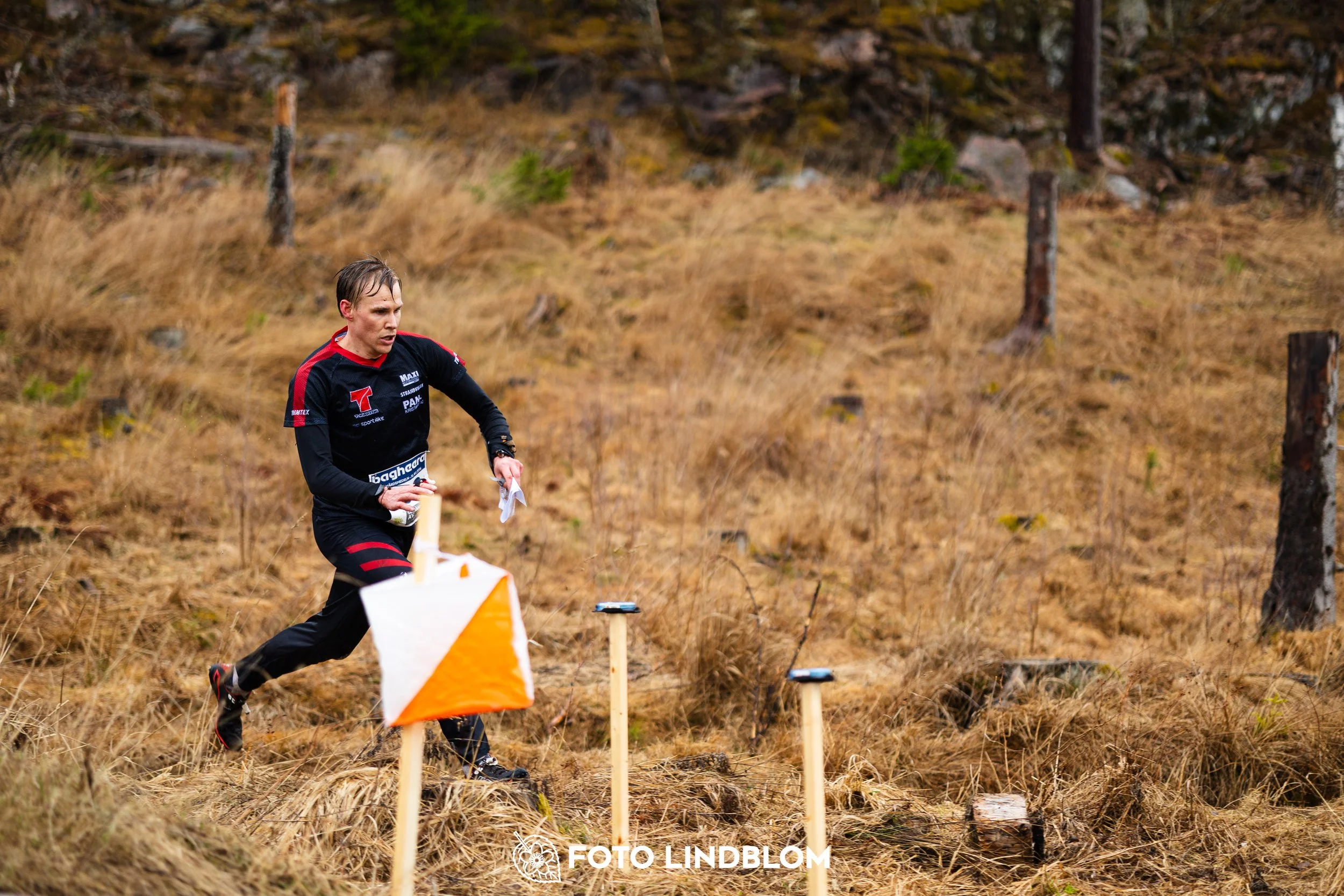 A scene from the Swedish League middle distance event in Kolmården spring 2026, captured by Foto Lindblom.