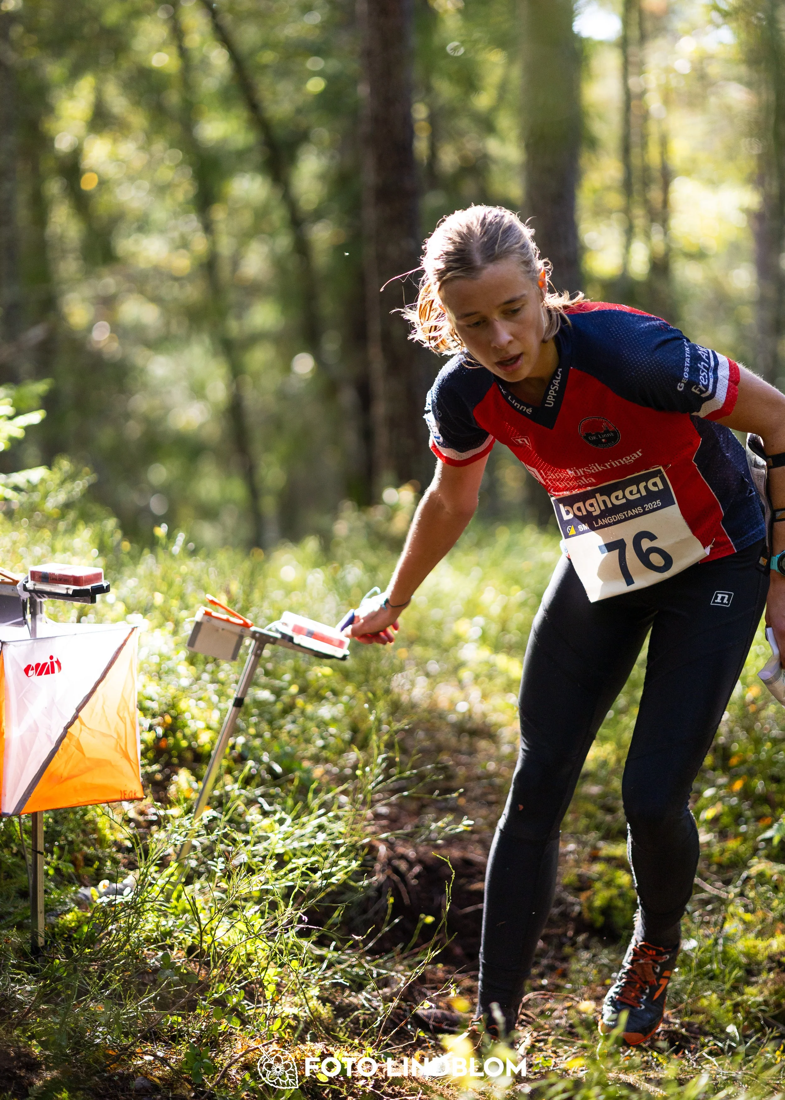 A picture from the Swedish national championship in long distance orienteering and Swedish league race taken by Foto Lindblom