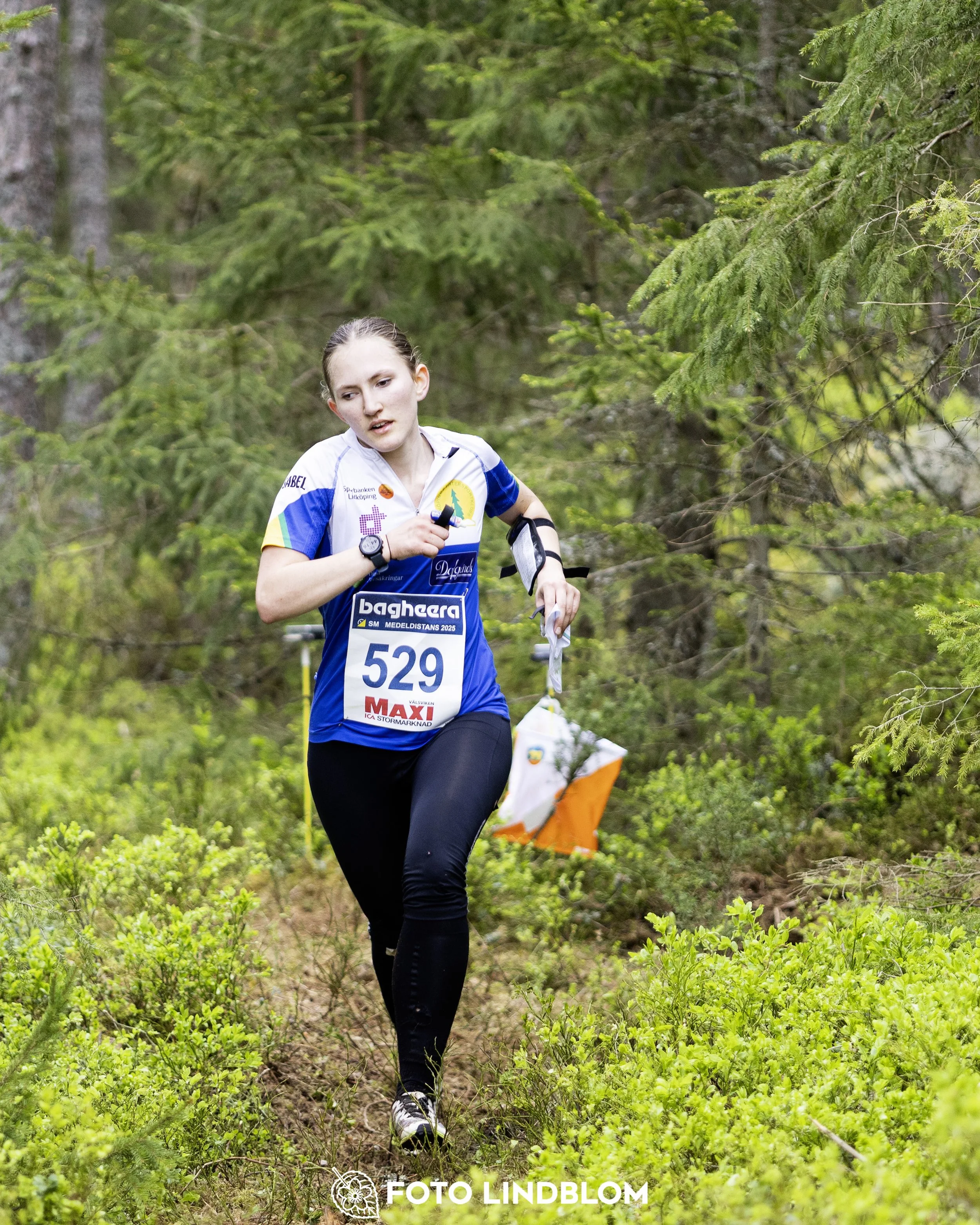 A picture from the Swedish national championship in middle distance orienteering and Swedish league race