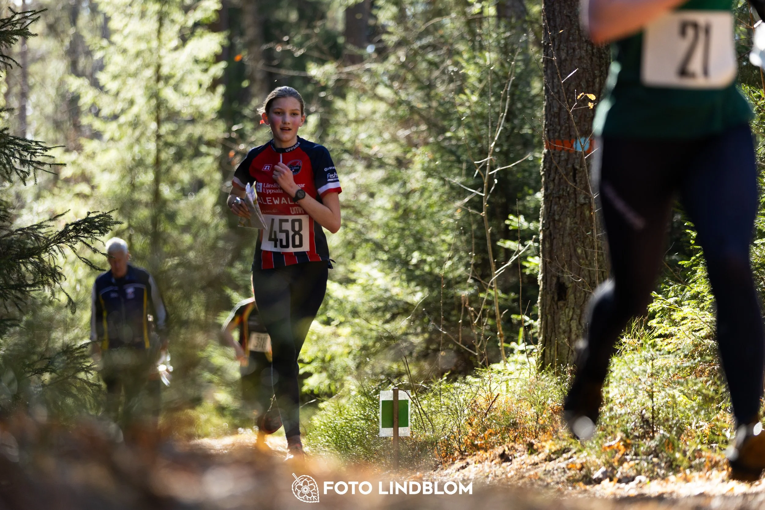 Orienteering competition scene from Nyköpingsorienteringen 2026 in Sweden’s natural forest environment, captured by Foto Lindblom.