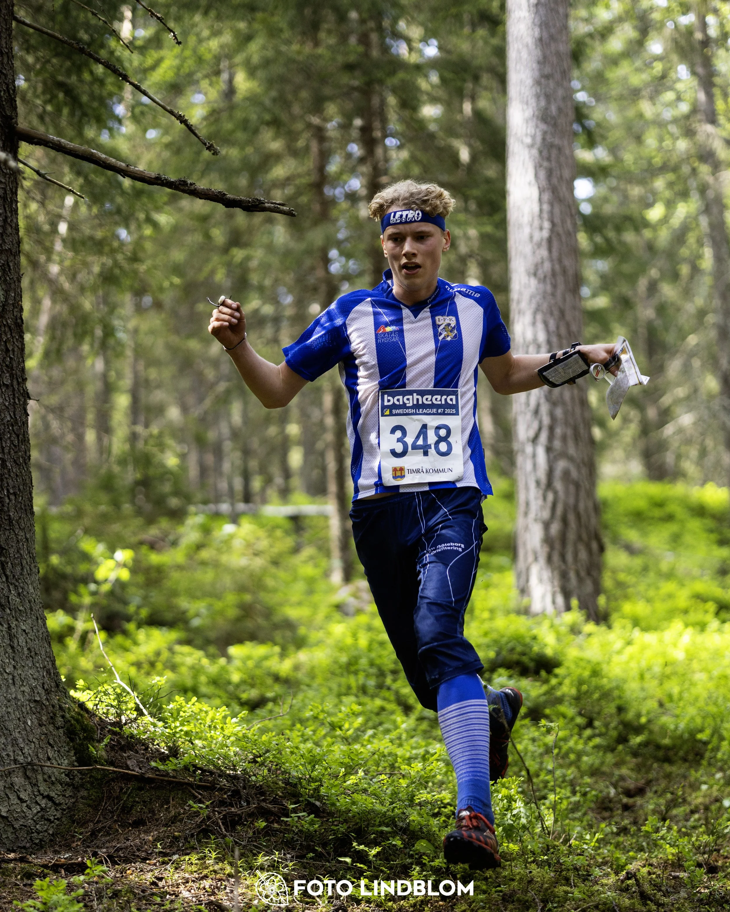 A picture from the seventh stage of the Swedish League orienteering competition