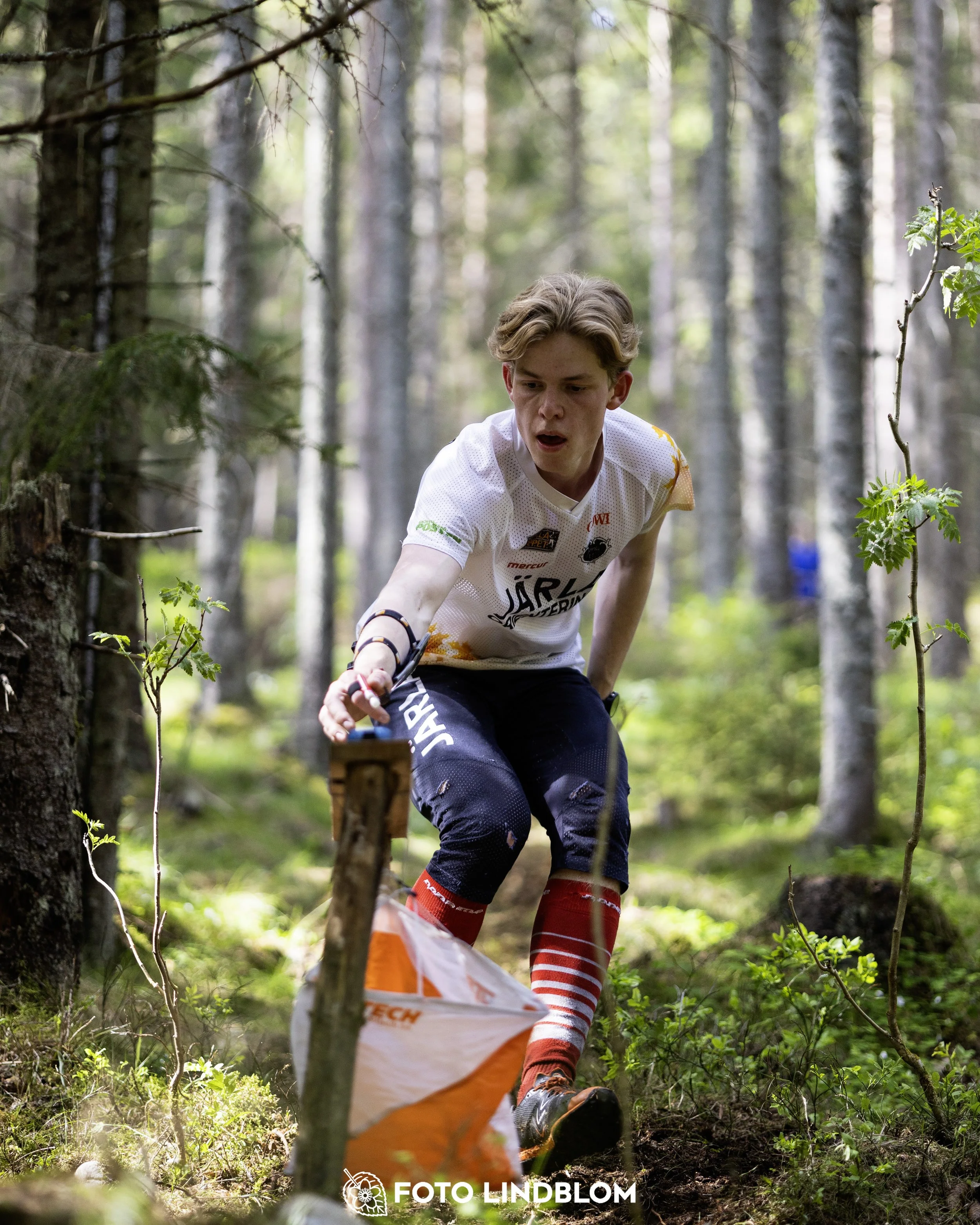 A picture from the seventh stage of the Swedish League orienteering competition