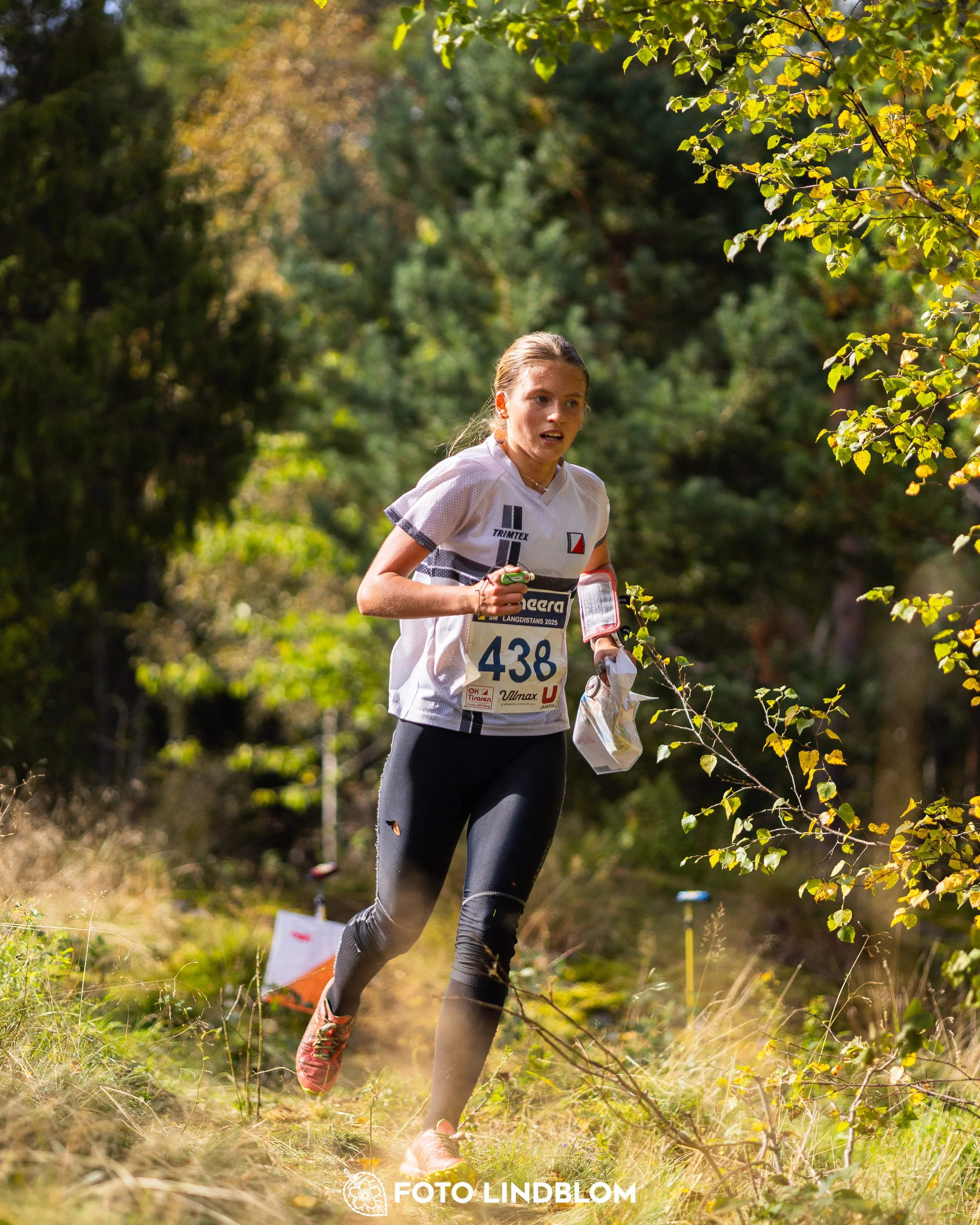 A picture from the Swedish national championship in long distance orienteering and Swedish league race taken by Foto Lindblom