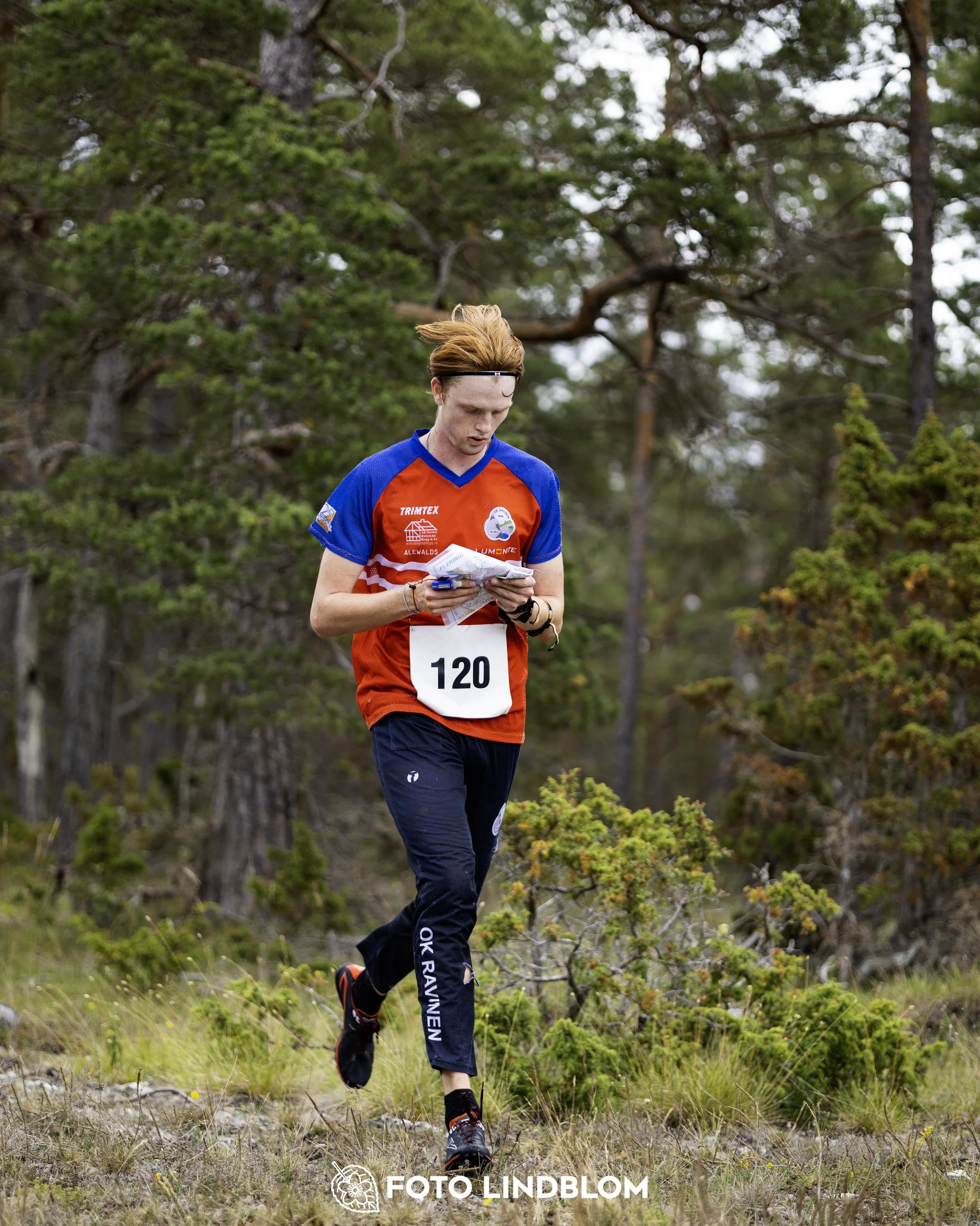 A picture from the Gotlands 2-Dagars orienteering competition