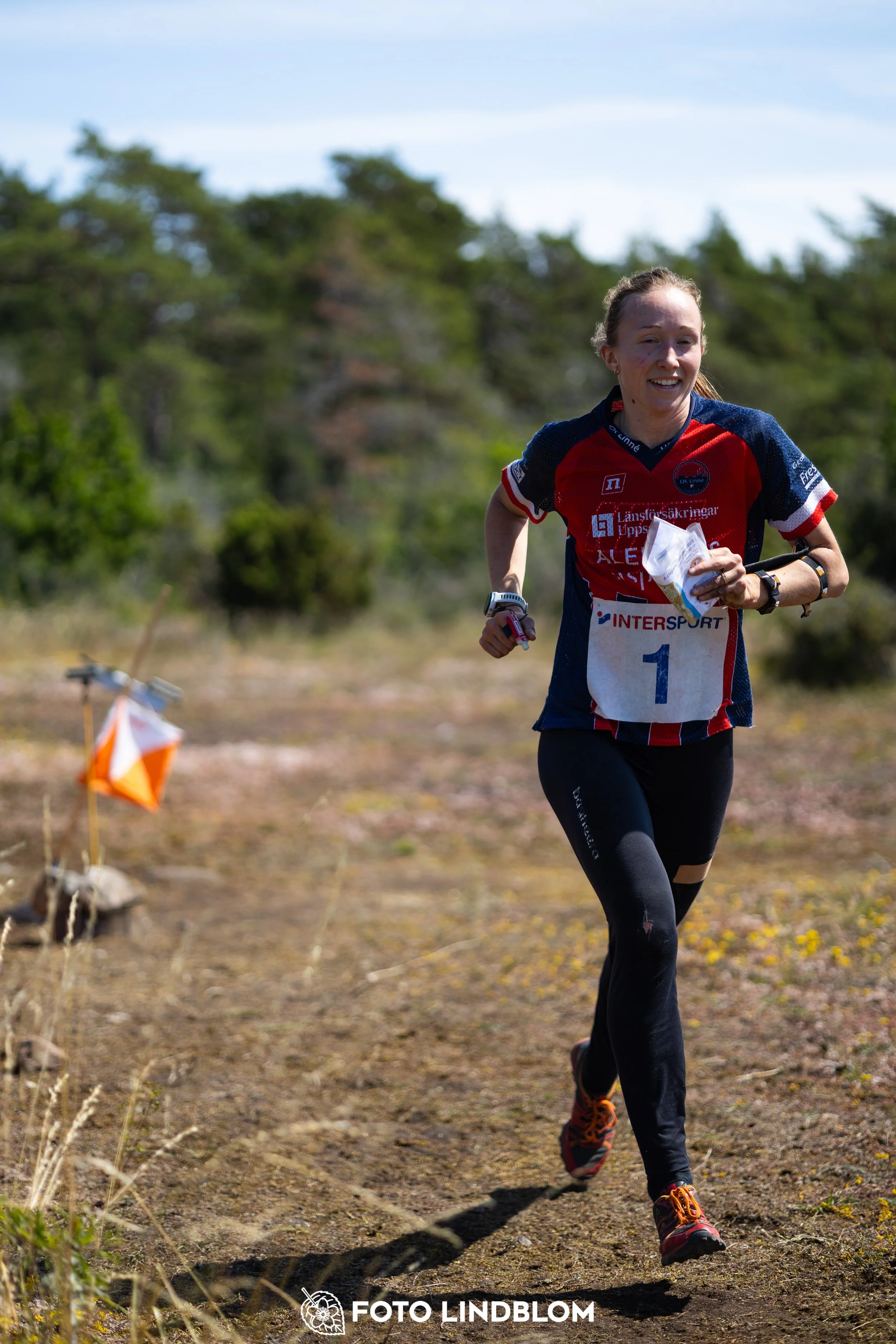 A picture from the Gotlands 3-Dagars orienteering competition