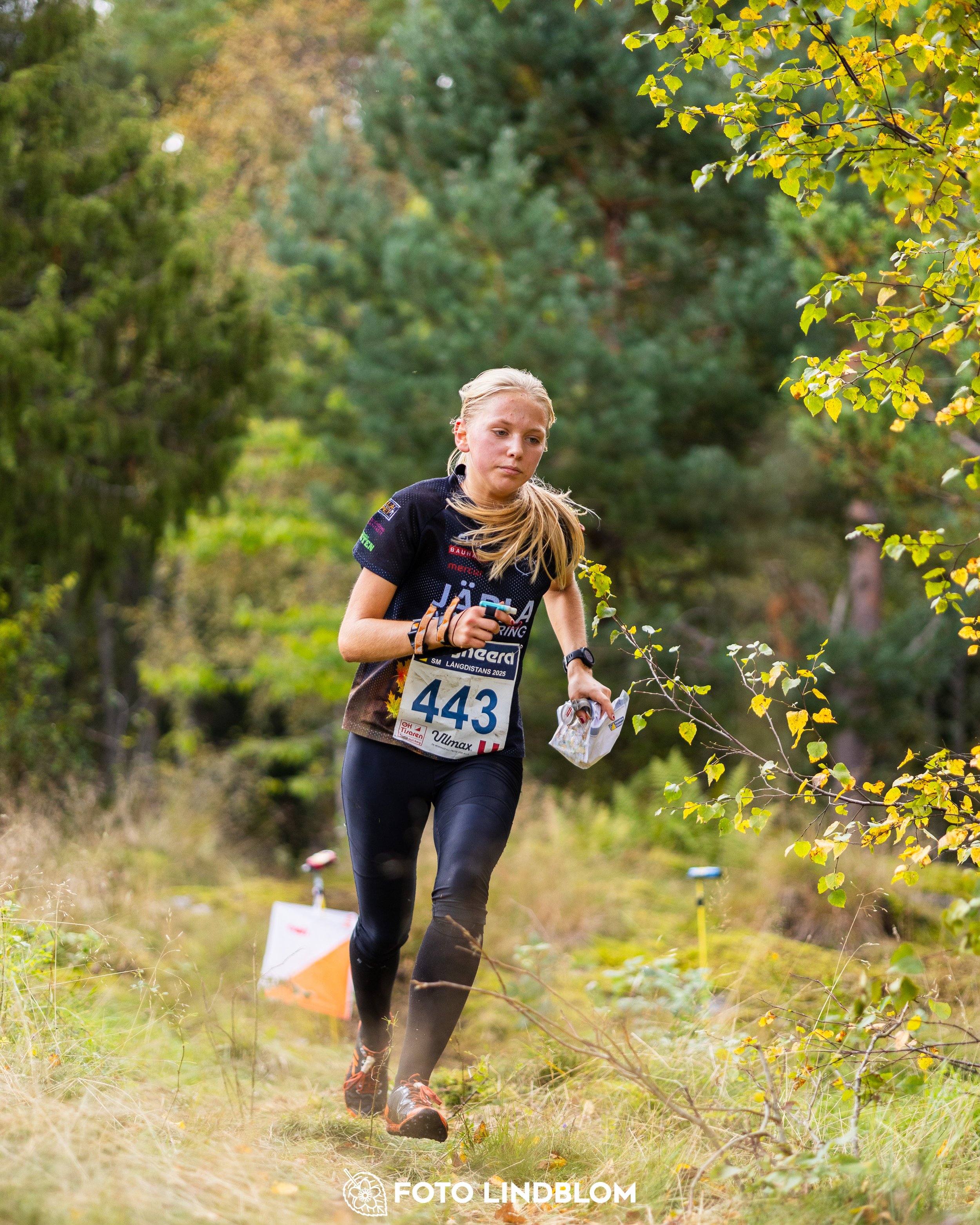 A picture from the Swedish national championship in long distance orienteering and Swedish league race taken by Foto Lindblom