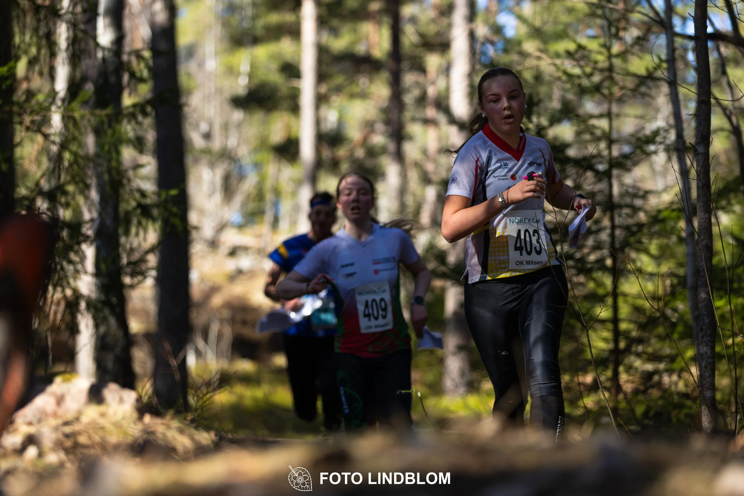 Image from Måsenstafetten 2026 showing orienteering relay teams competing in Swedish forest terrain, taken by Foto Lindblom.