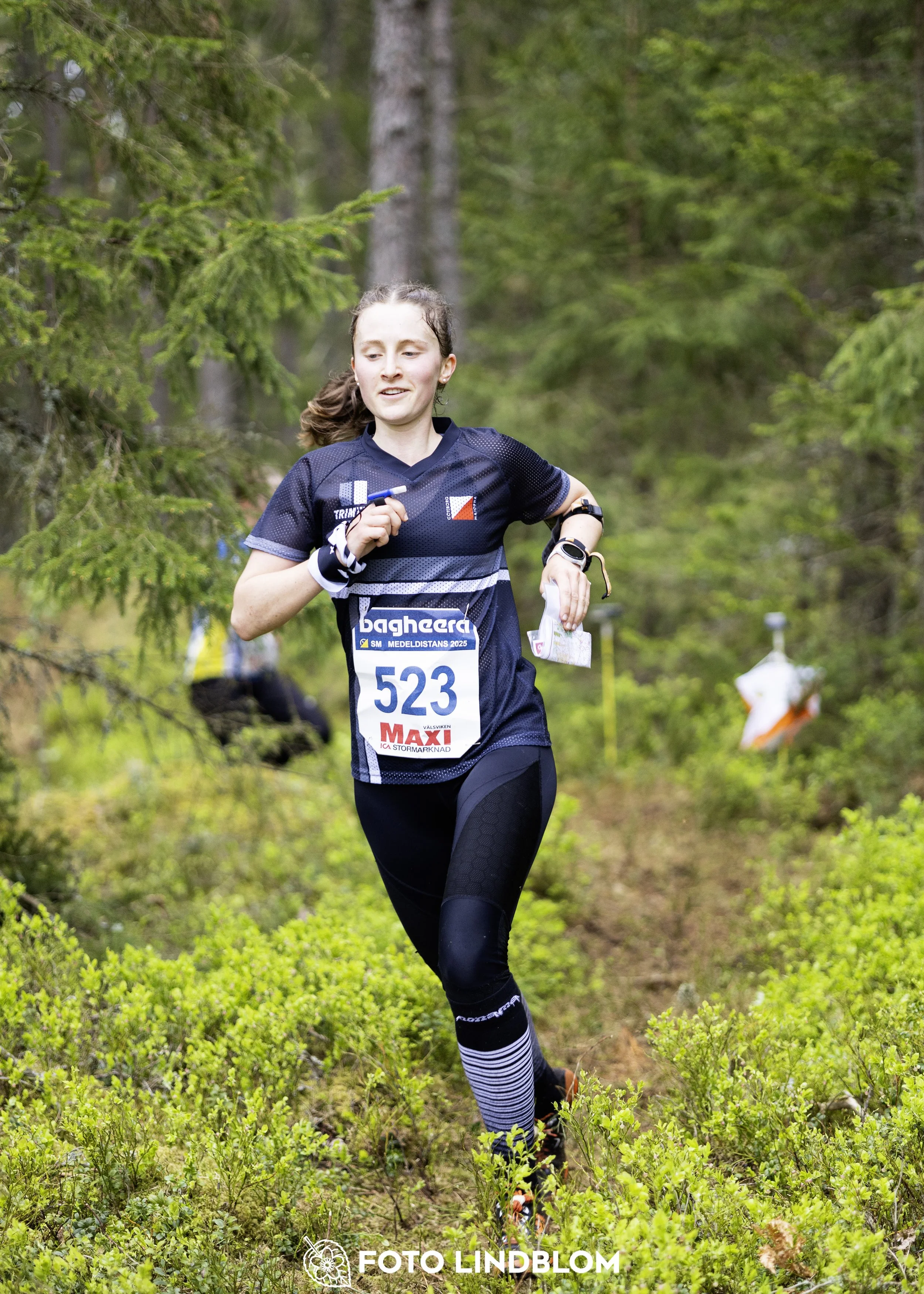 A picture from the Swedish national championship in middle distance orienteering and Swedish league race