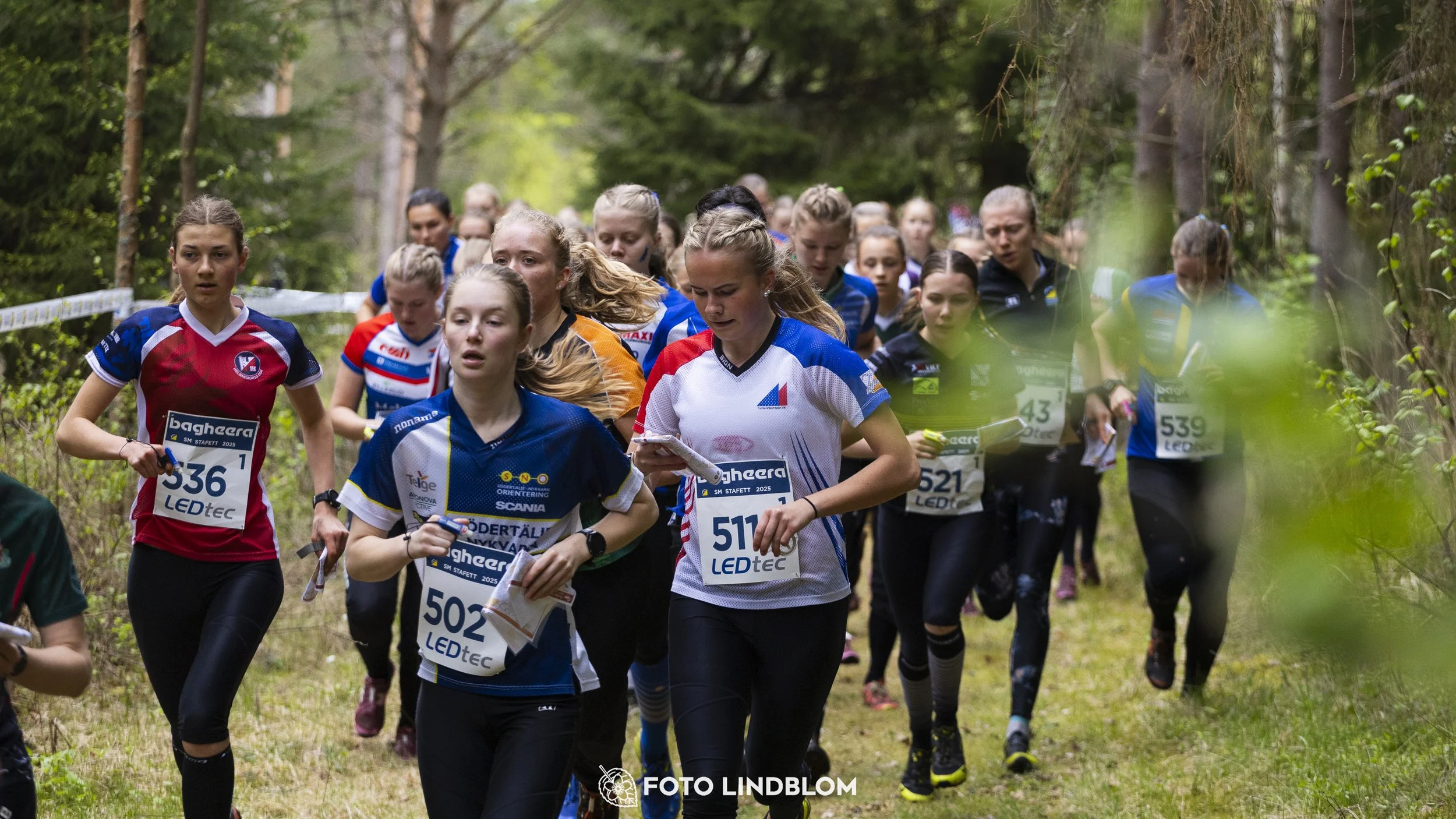 A picture from the Swedish national championship in relay orienteering