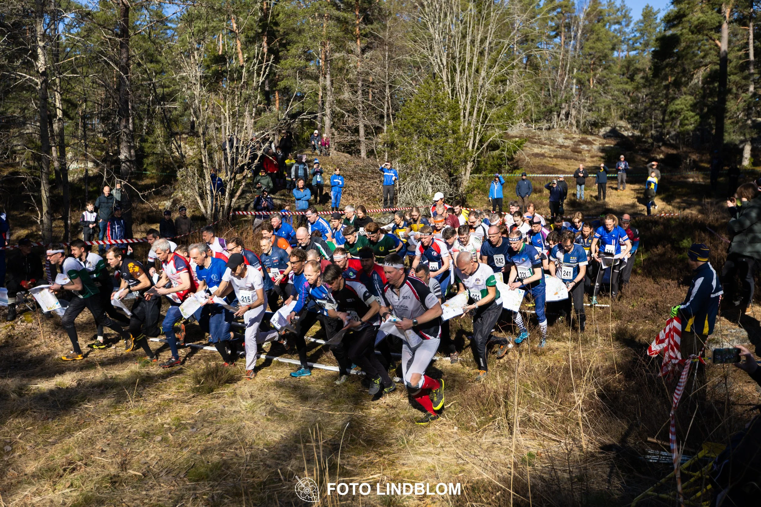 Image from Måsenstafetten 2026 showing orienteering relay teams competing in Swedish forest terrain, taken by Foto Lindblom.