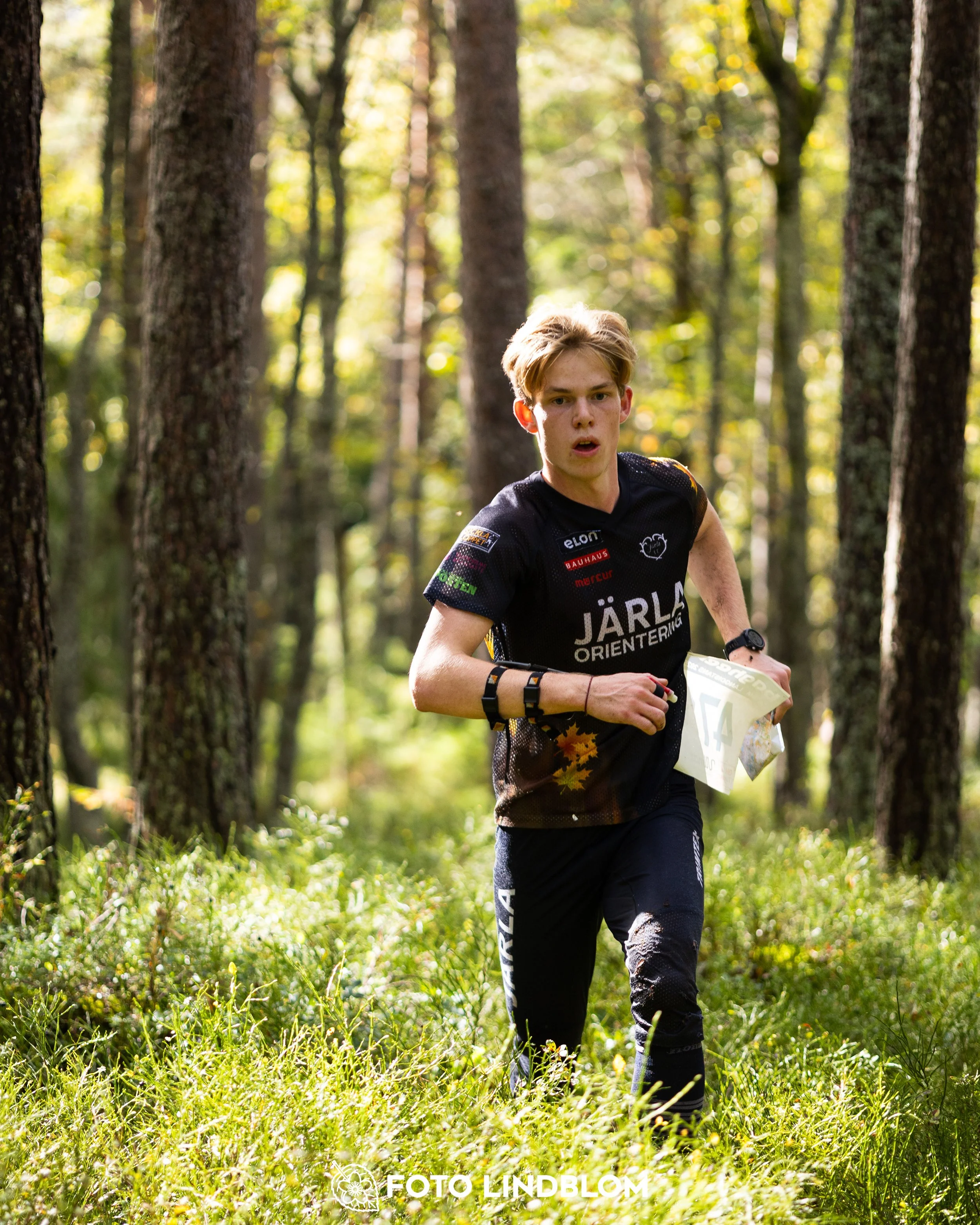 A picture from the Swedish national championship in long distance orienteering and Swedish league race taken by Foto Lindblom