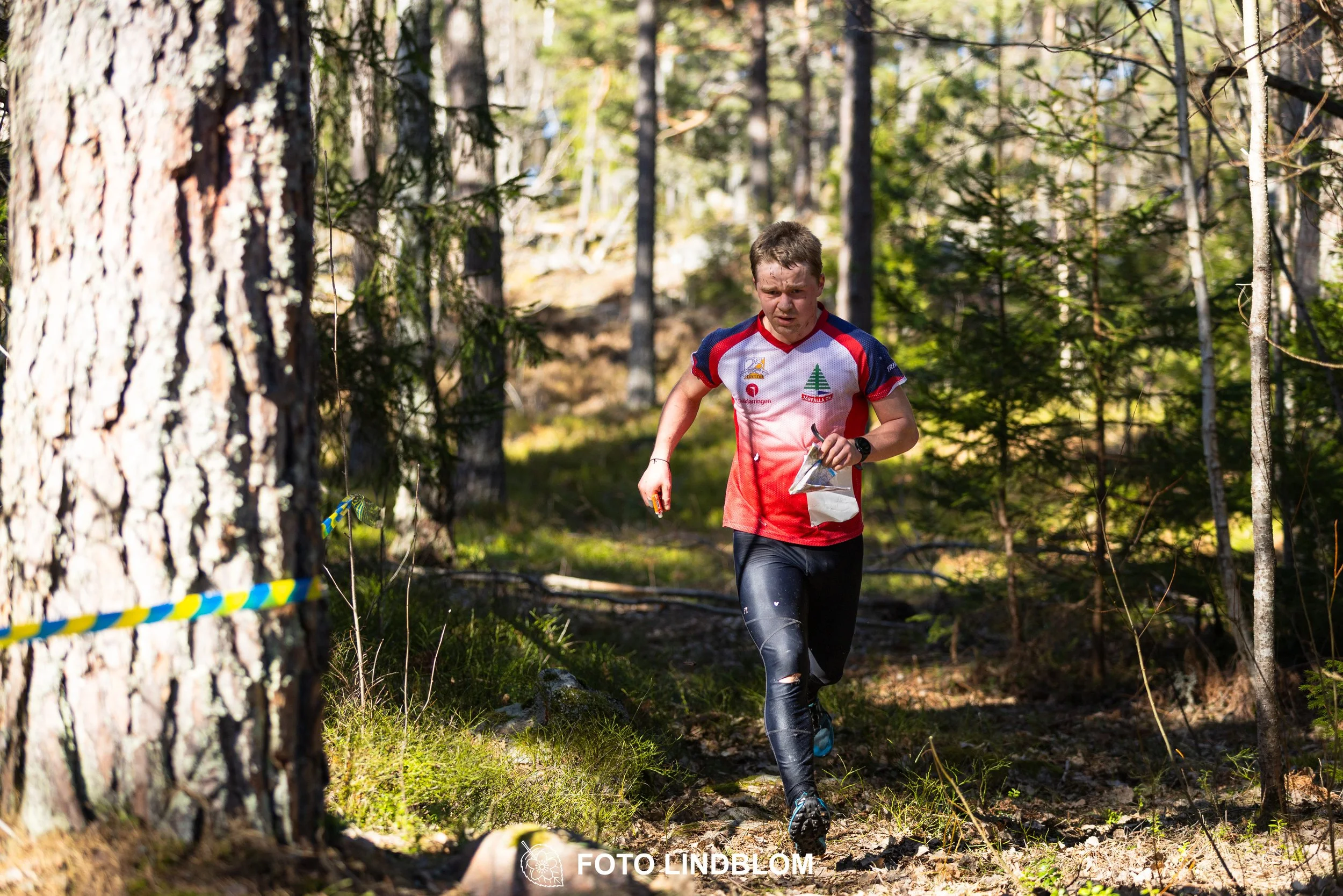 An image from the orienteering relay Måsenstafetten 2026, showing athletes in forest terrain, shot by Foto Lindblom.