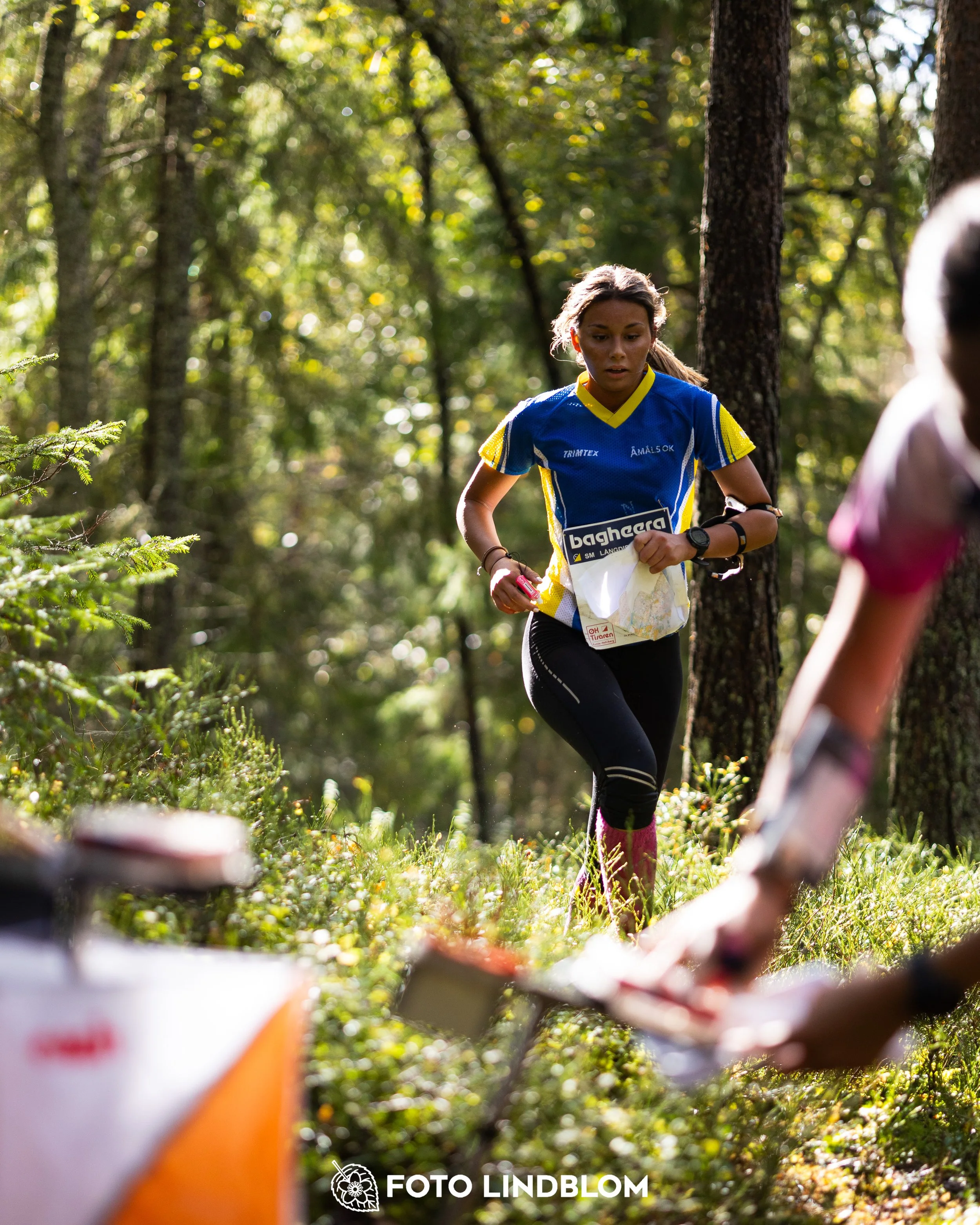 A picture from the Swedish national championship in long distance orienteering and Swedish league race taken by Foto Lindblom