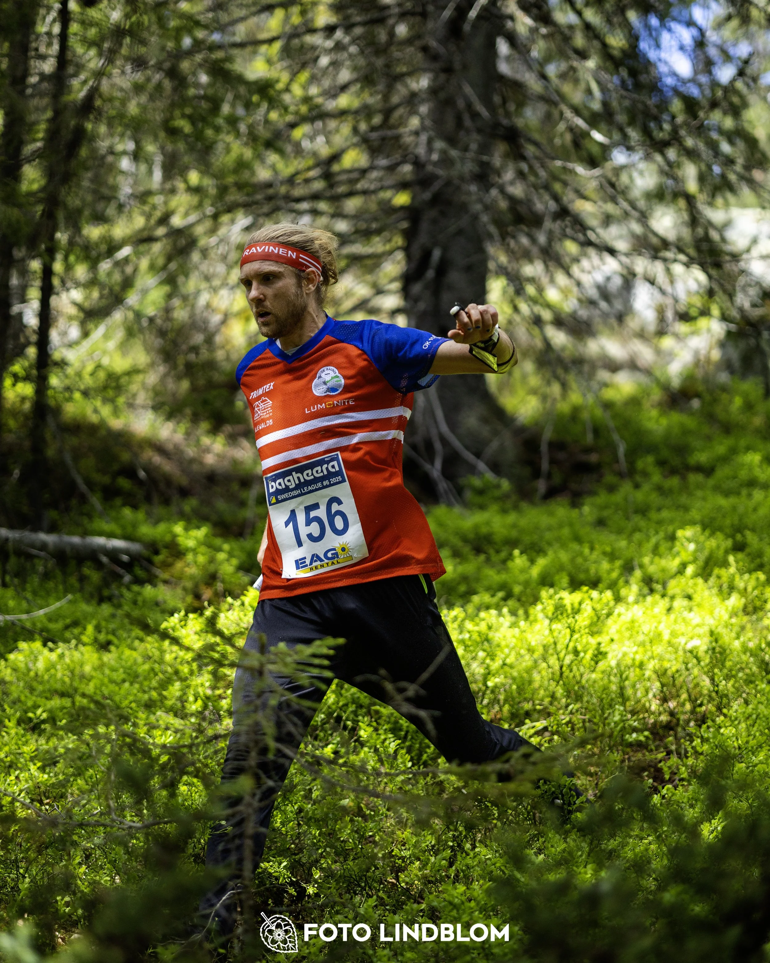 A picture from the sixth stage of the Swedish League orienteering competition