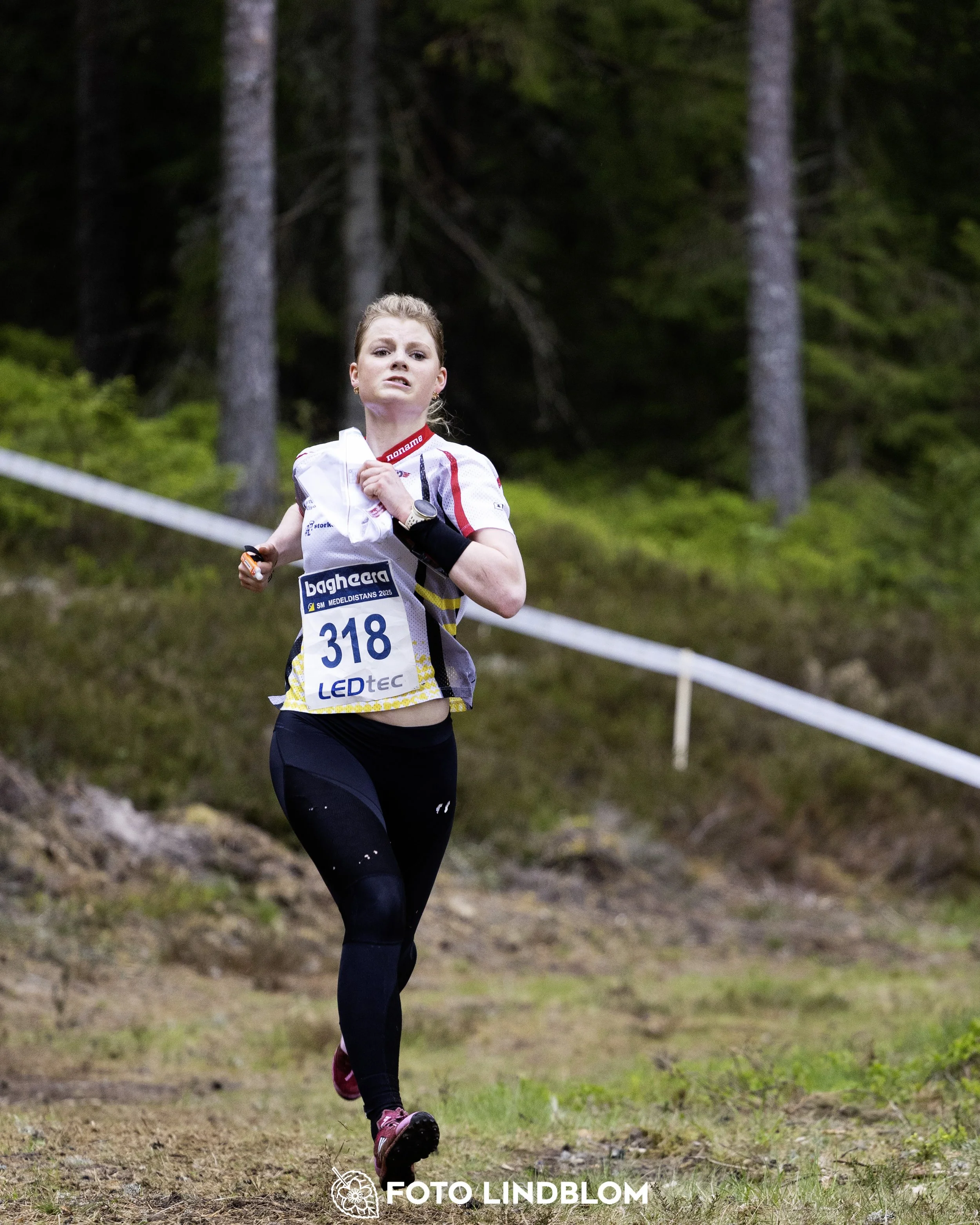 A picture from the Swedish national championship in middle distance orienteering and Swedish league race