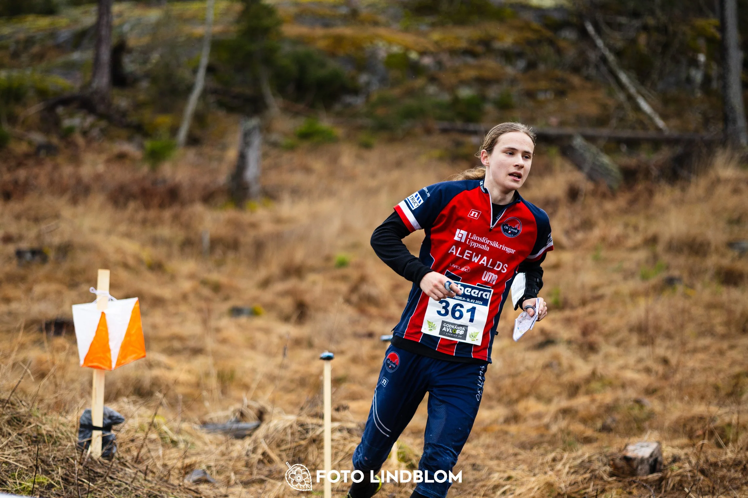 A moment from a middle distance orienteering race in Kolmården during the Swedish League 2026, captured by Foto Lindblom.