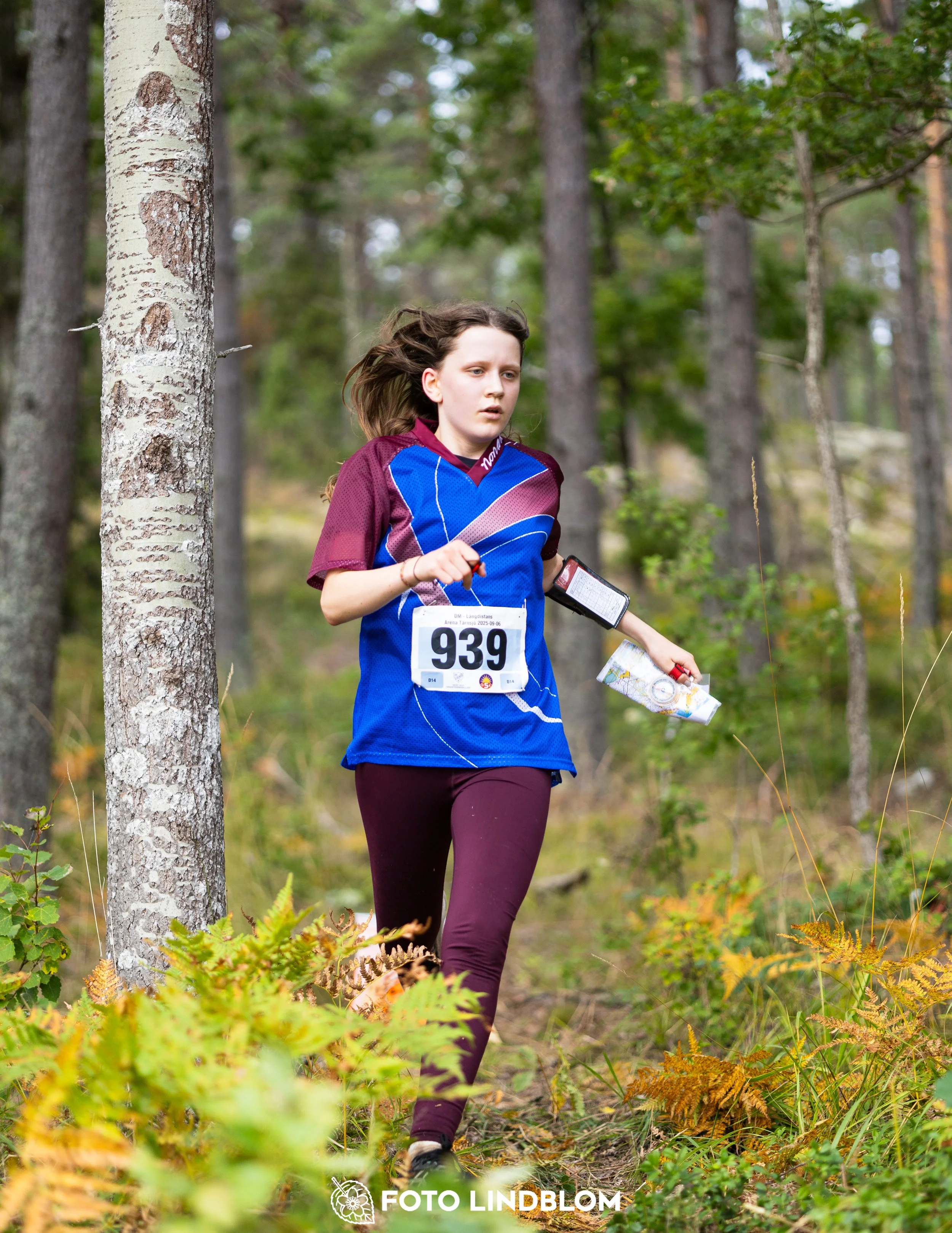 A picture from the Stockholm district championship in middle distance orienteering taken by Foto Lindblom