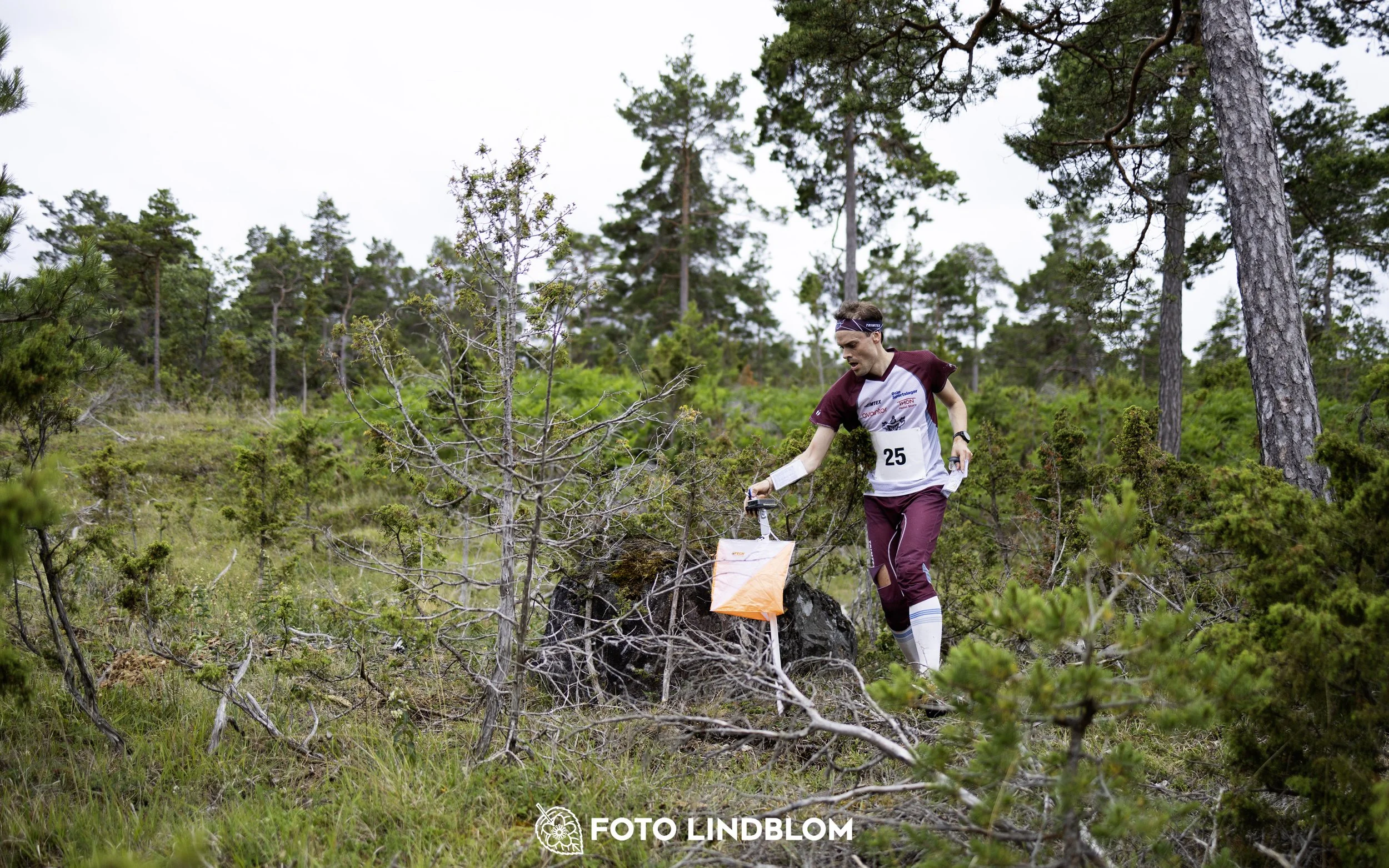 A picture from the Gotlands 2-Dagars orienteering competition