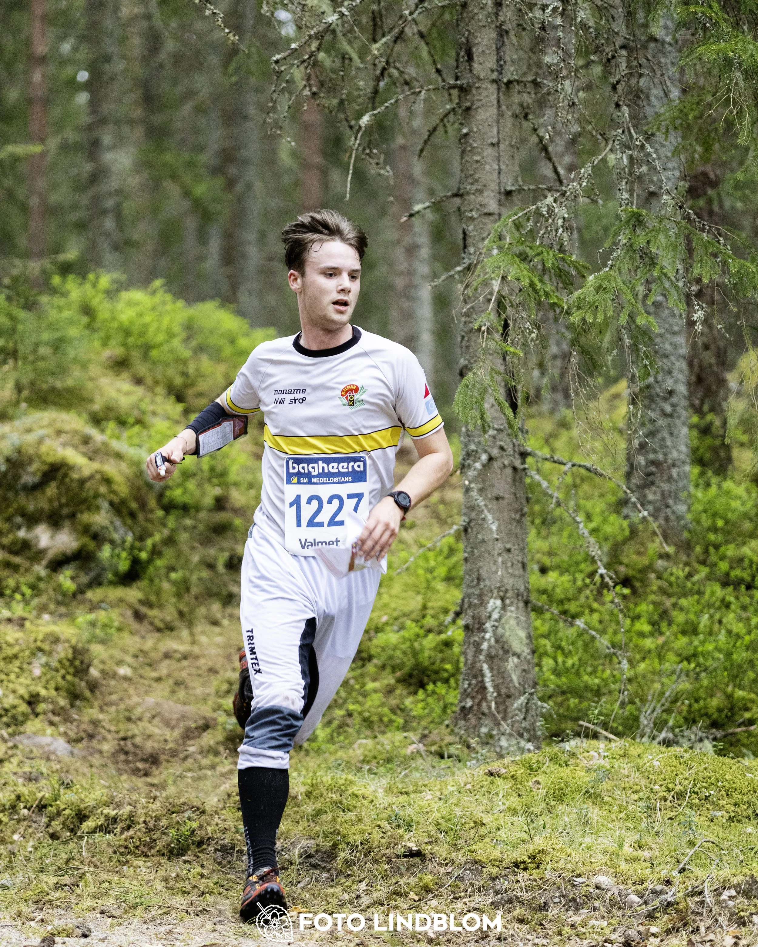 A picture from the Swedish national championship in middle distance orienteering and Swedish league race